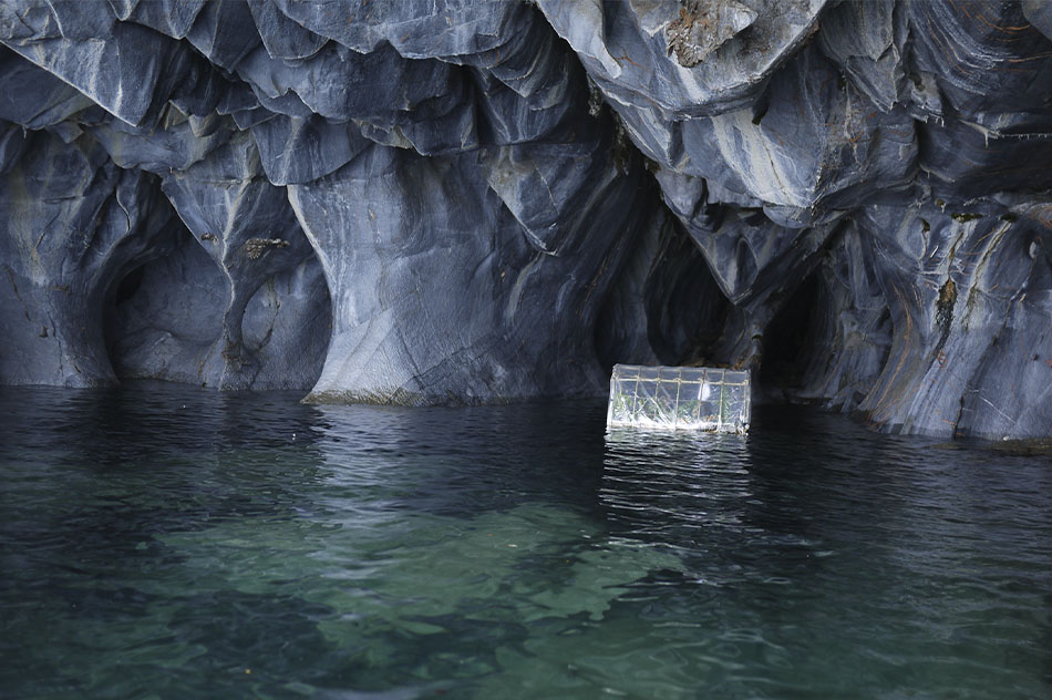 Máximo Corvalán-PincheiraProyecto Invernadero, 2013Installation of 9 photographs, 4 drawings on paper and a digital videoVariable dimensions (detail)