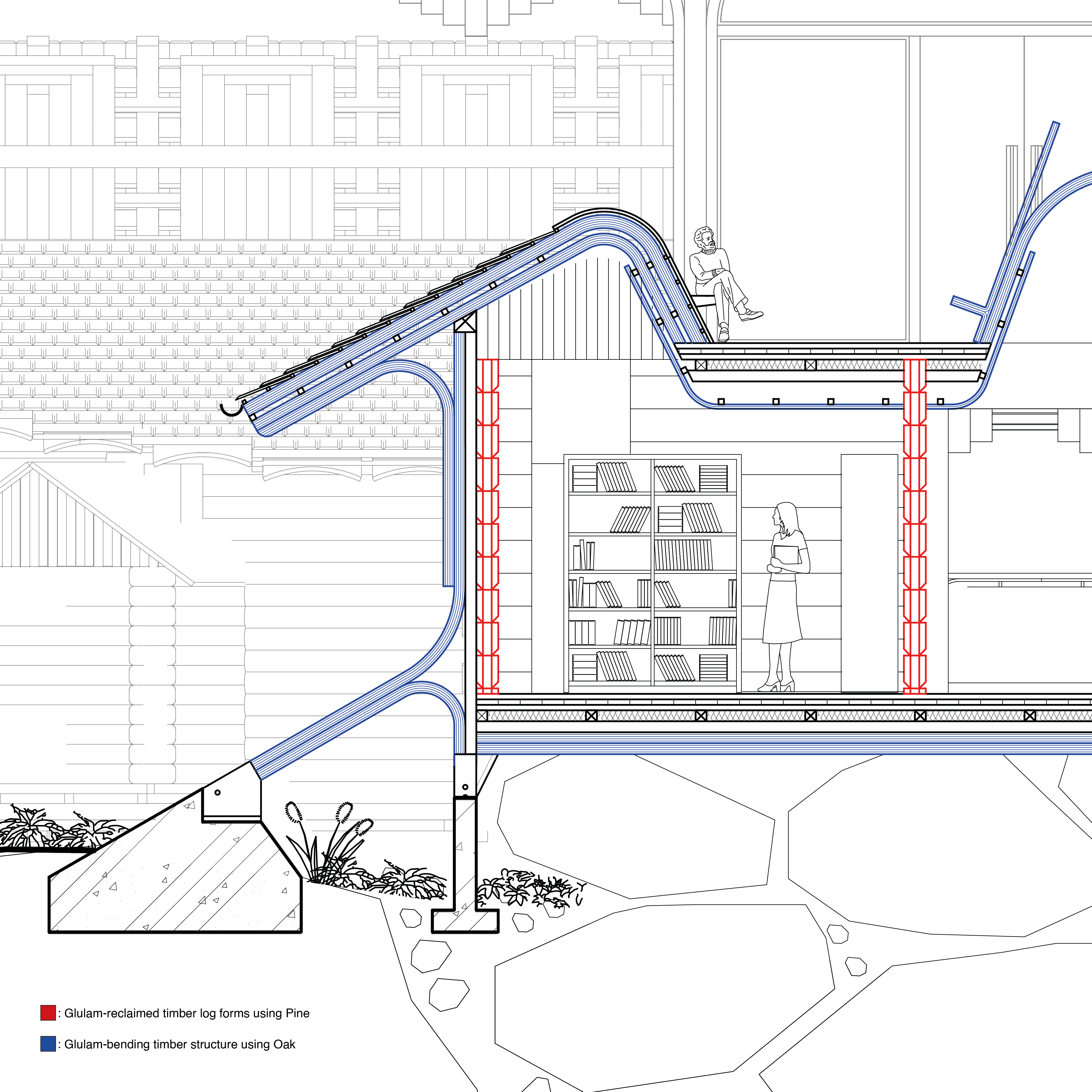 From Reclaimed Logs to Structural Precision: A Dialogue Between Woods