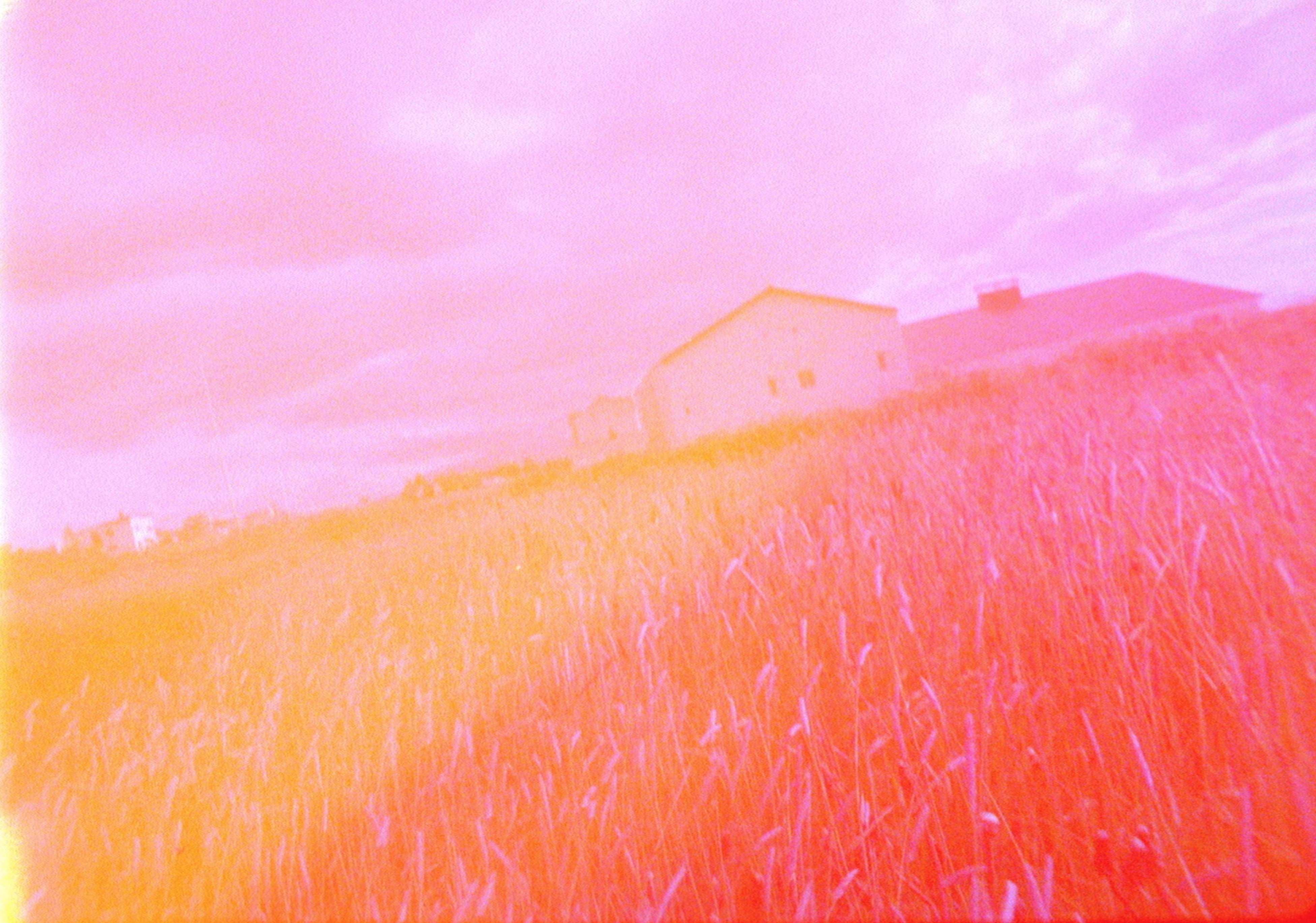 Never Happened Again, Myvatn, 2010. Excerpt of Single Channel Video Art Installation. Size: Variable / Site Specific. Duration: Continuous Loop. Still frame