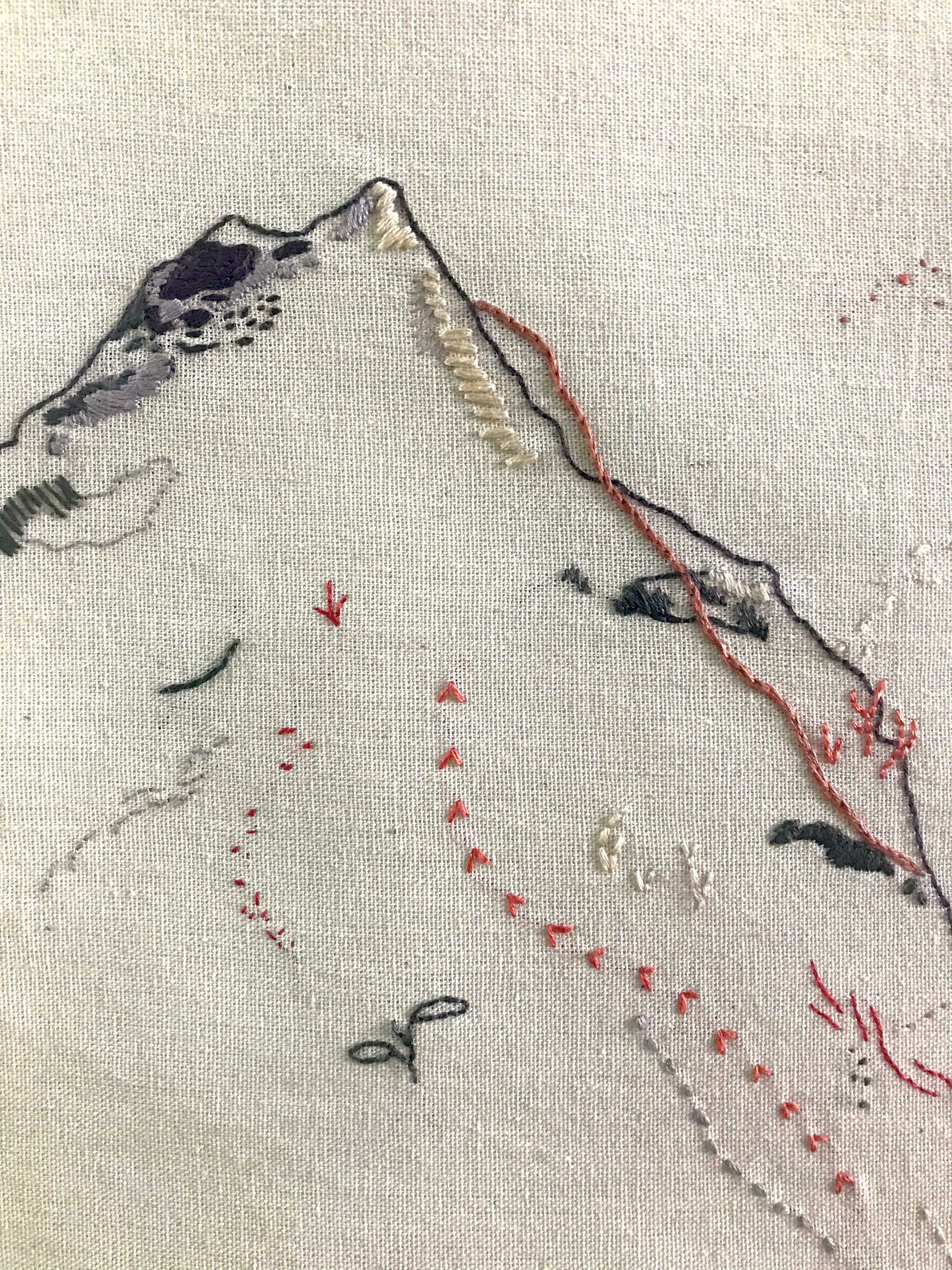 Una planta que migra