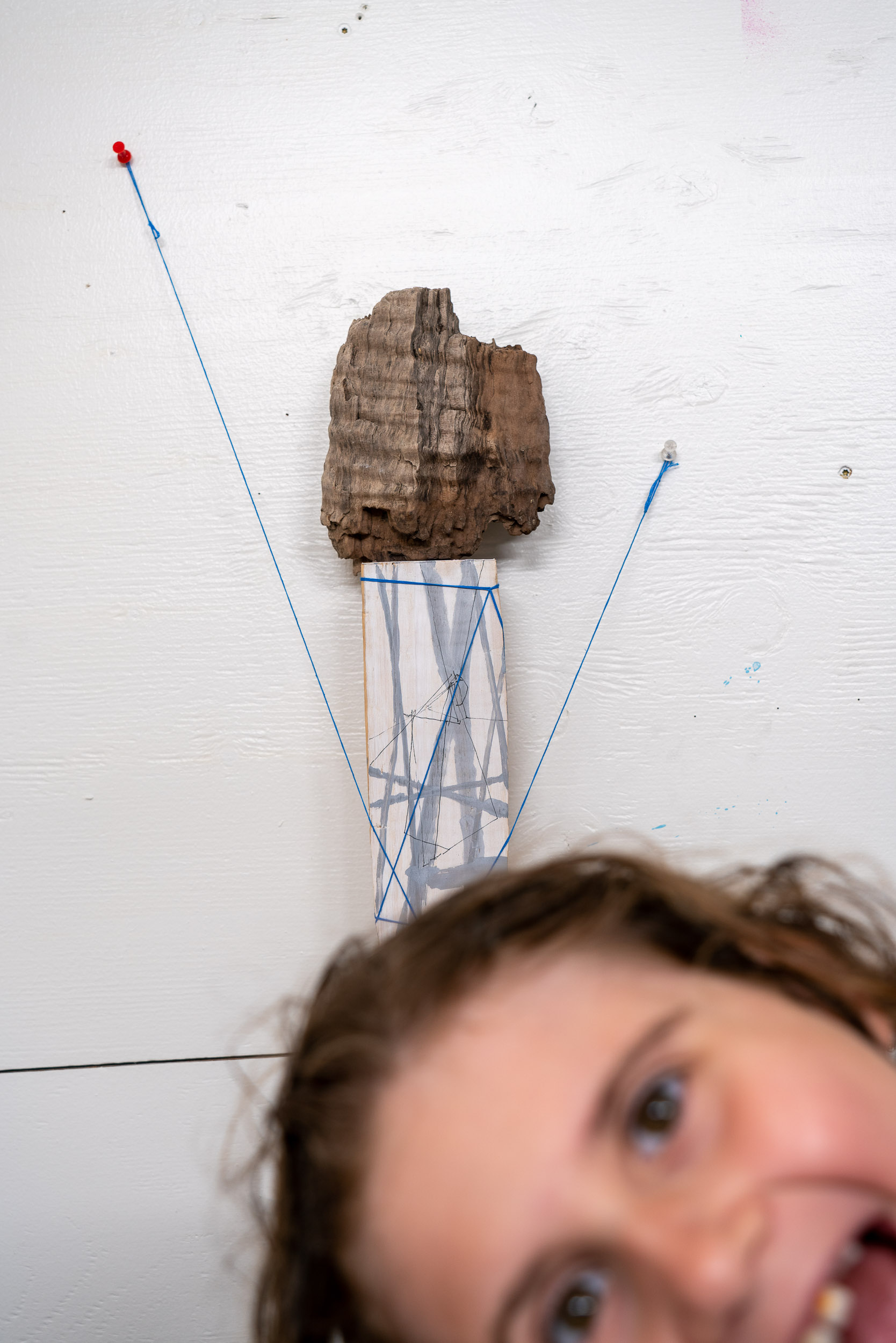 2019, acrylic, ink, string, wood, driftwood, push pins 24 x 18 x 5 inches