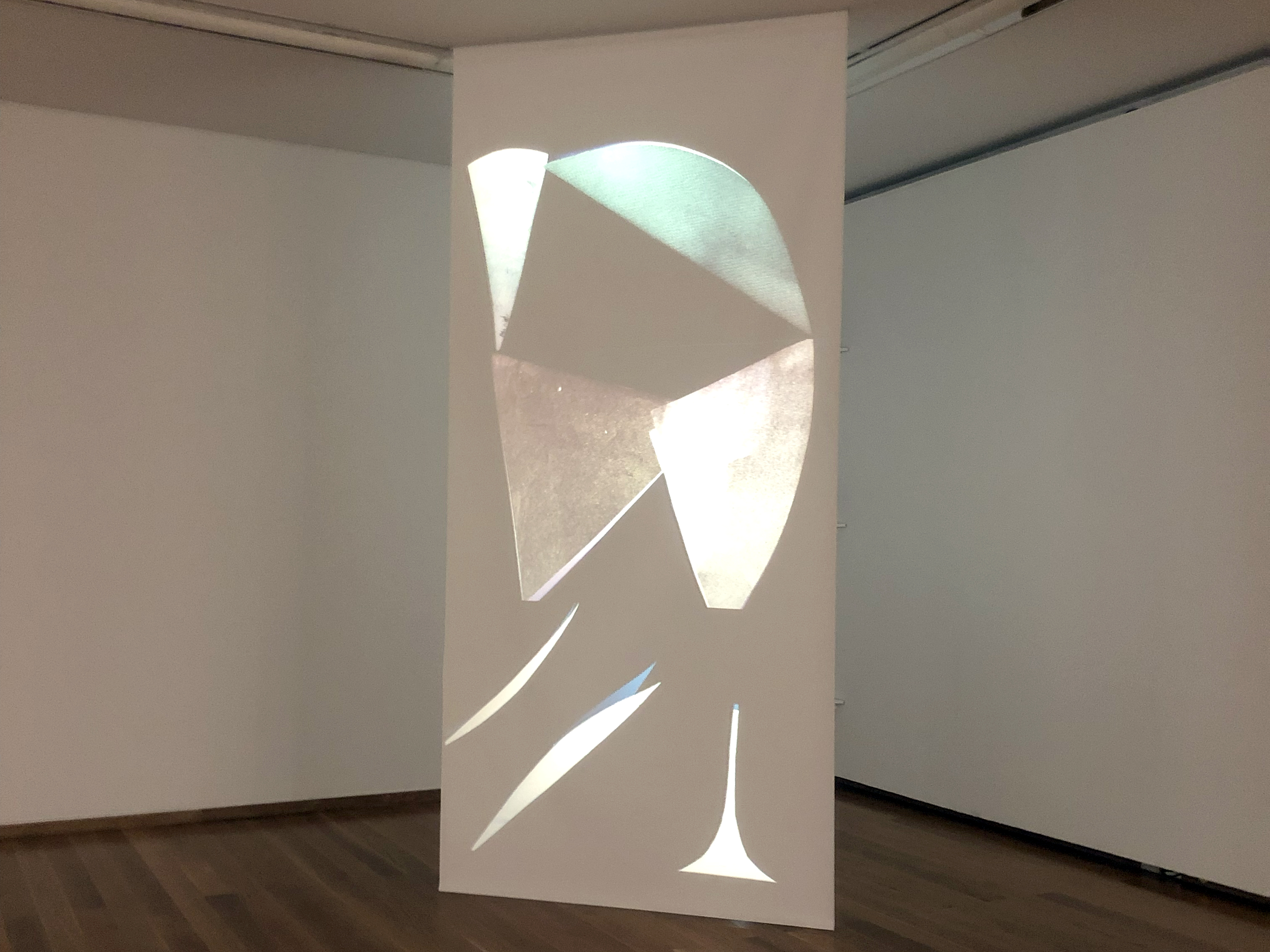 TAXONOMIA DO PEIXE-PATO, Galeria Municipal do Porto 2023