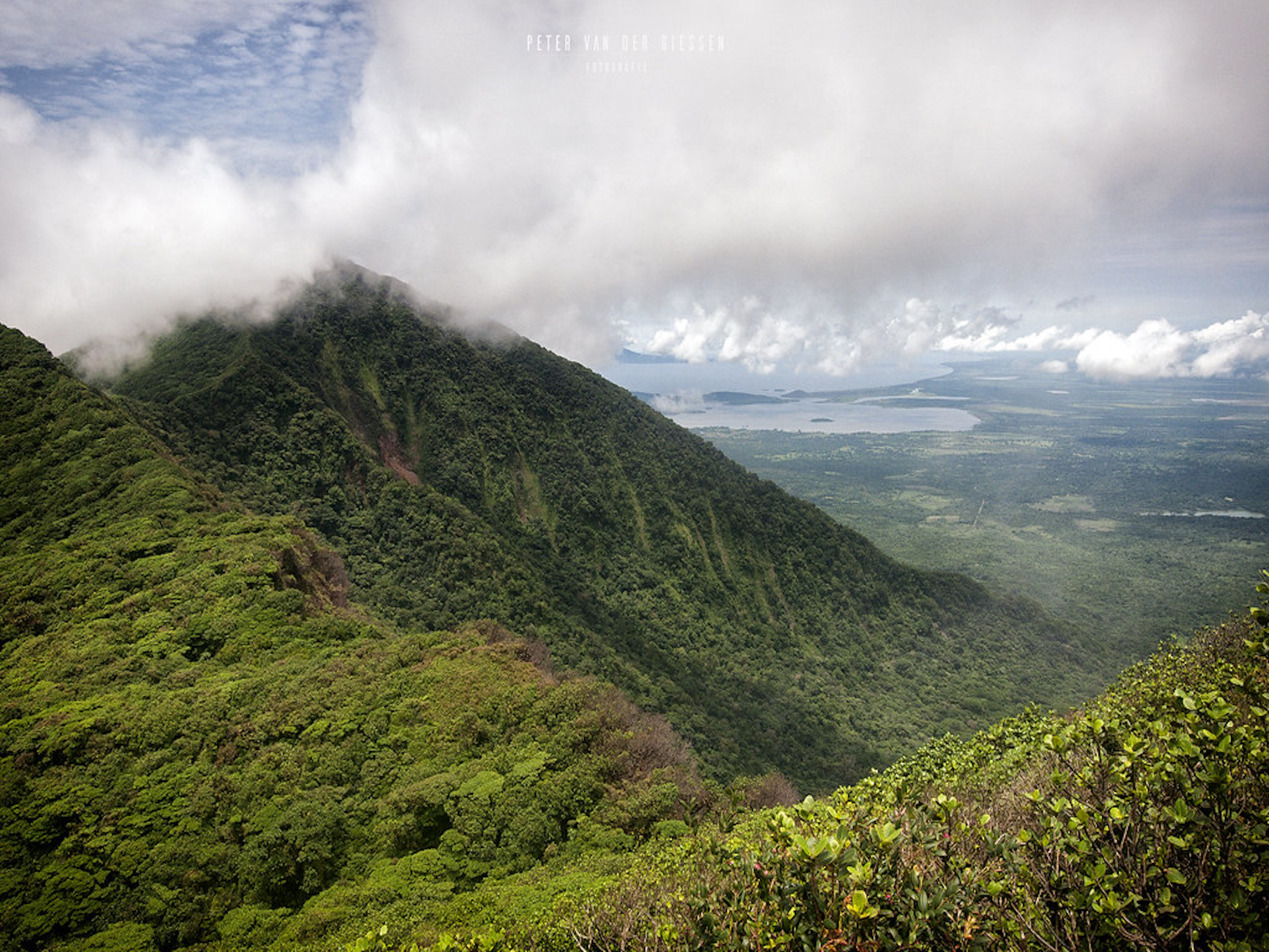  mombacho  quartet and electronics. 2019 
