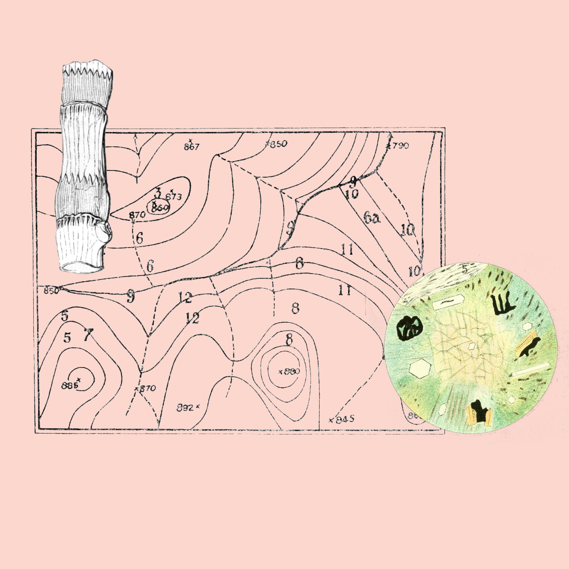 B.A-BA : vers la structuration de son projet artistique avec Danse Dense