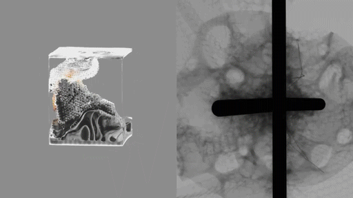 Oxman: Nature X Humanity Documentary