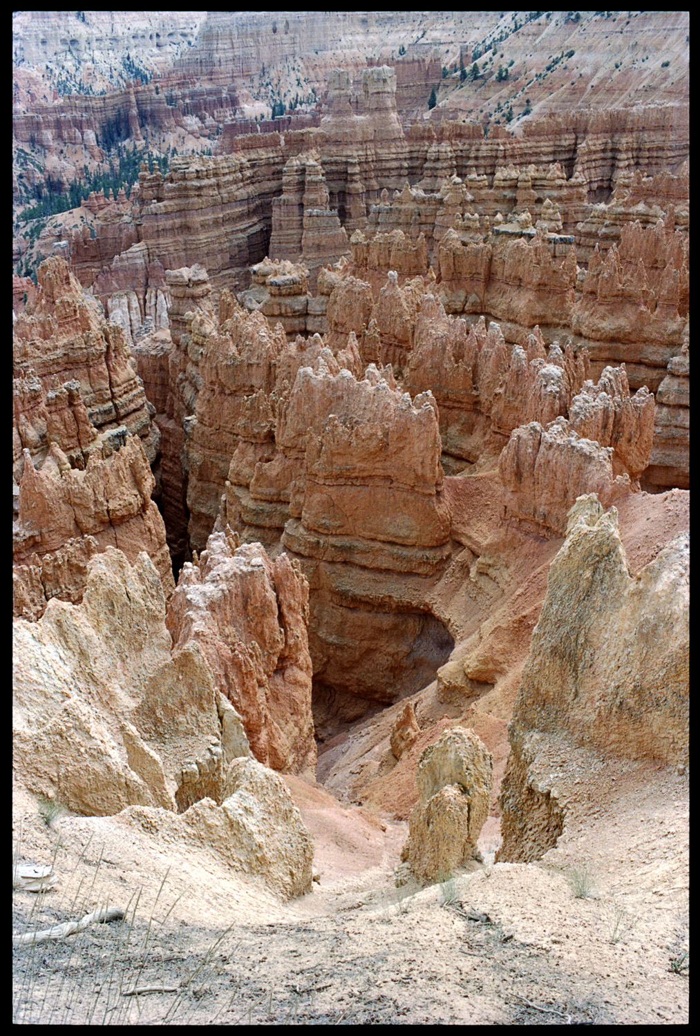 2005 Brice Canyon