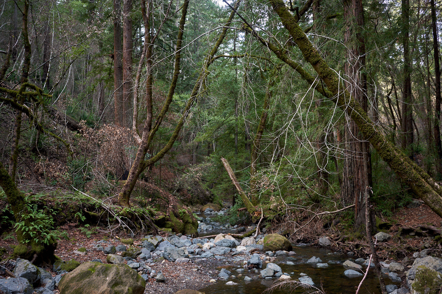 2018 Santa Rosa California