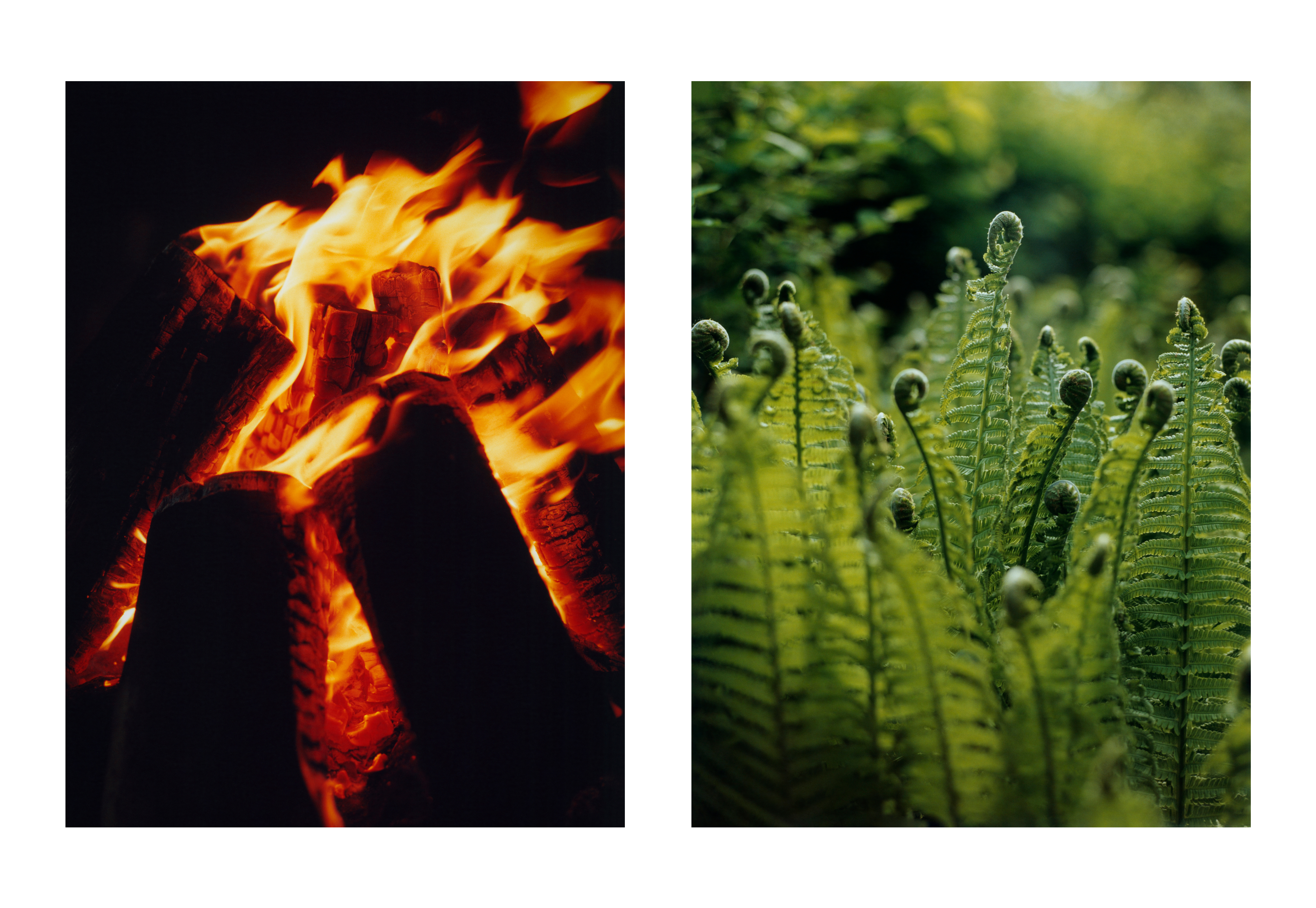 The Greatest Magazine,  9/13 