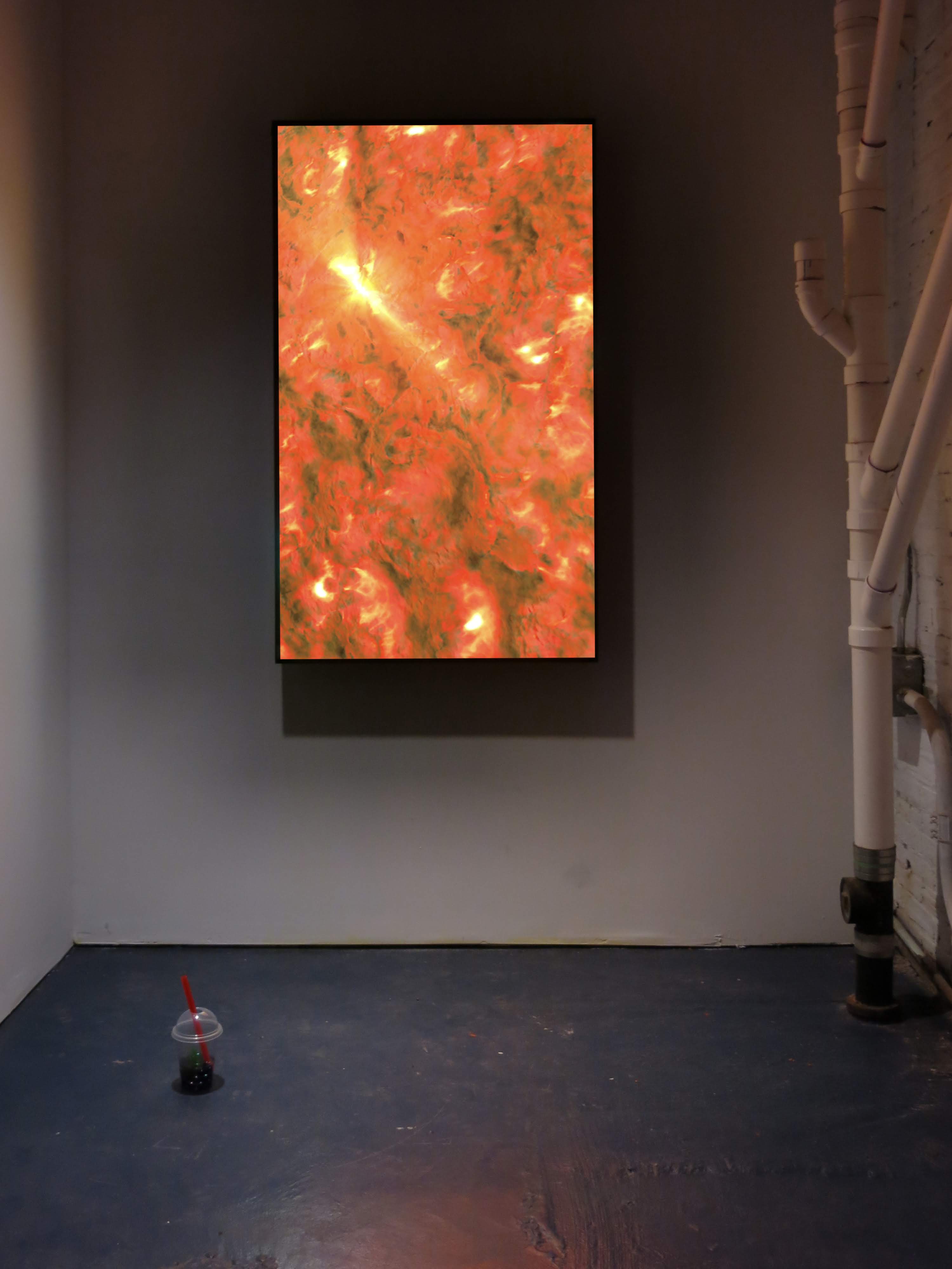 Gregory Kalliche, Filter Gallery. Portrait oriented HD video with sound, 2015