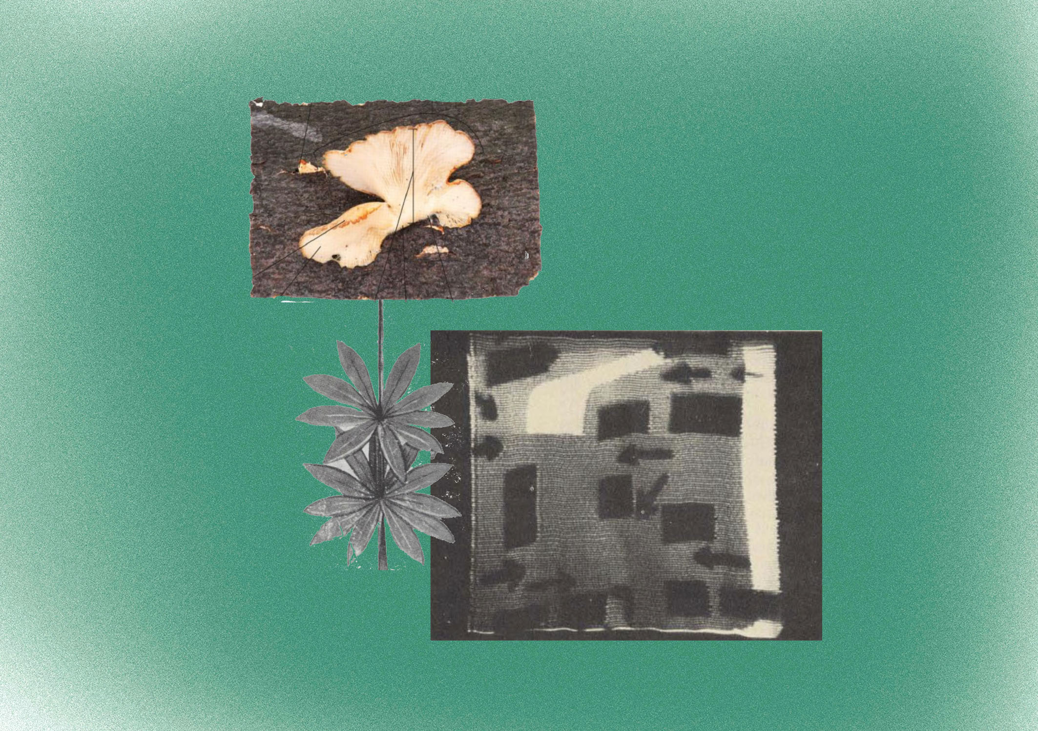 Theater Works : Space & Time | Julyen Hamilton