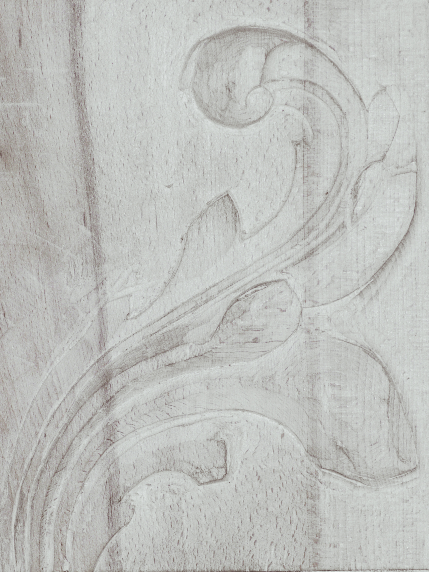 h&ecirc;tre | h. 30 cm