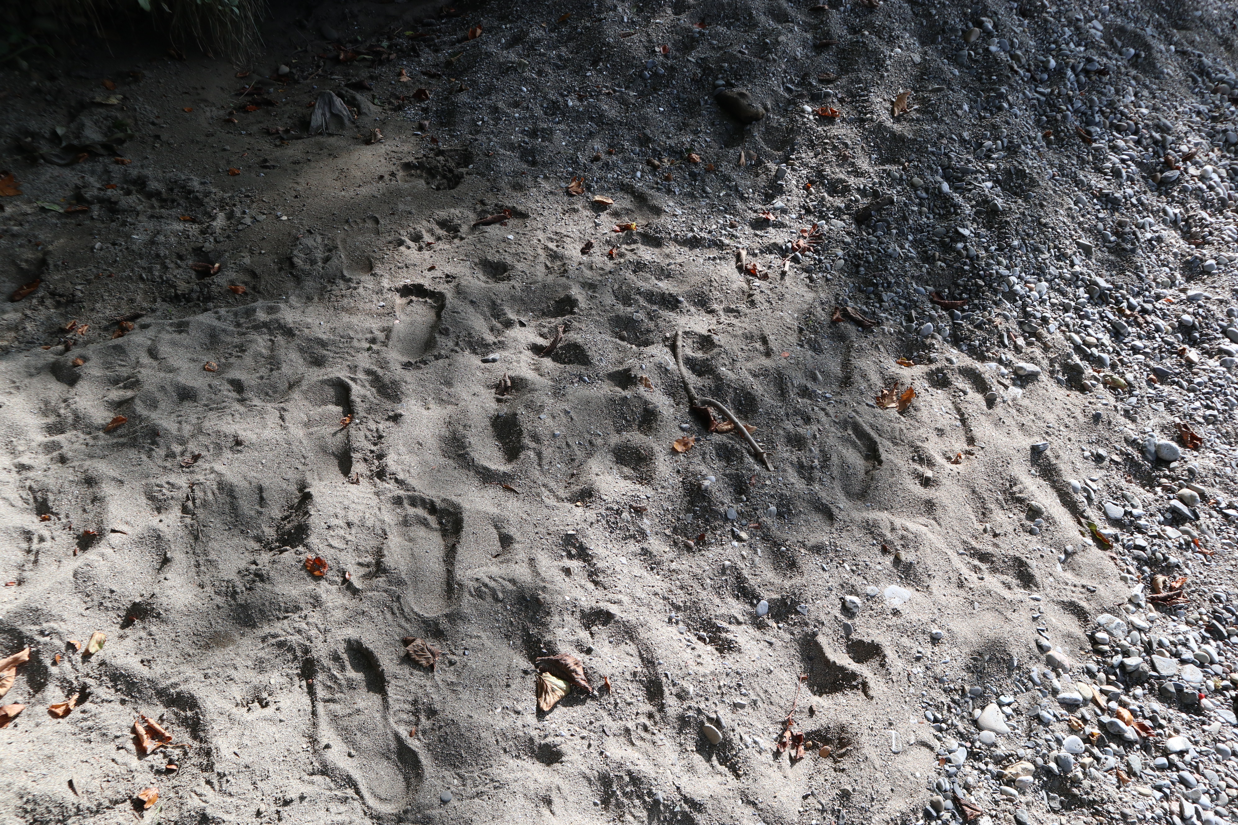 Die Spuren des Lebens