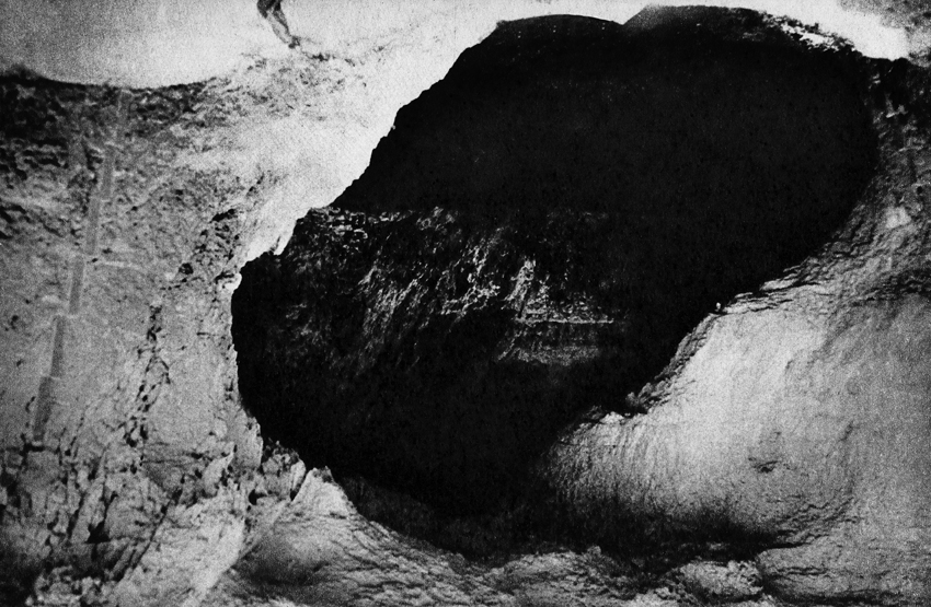 Mobi Dick, 2012, pigment inkjet print, 260×162 cm