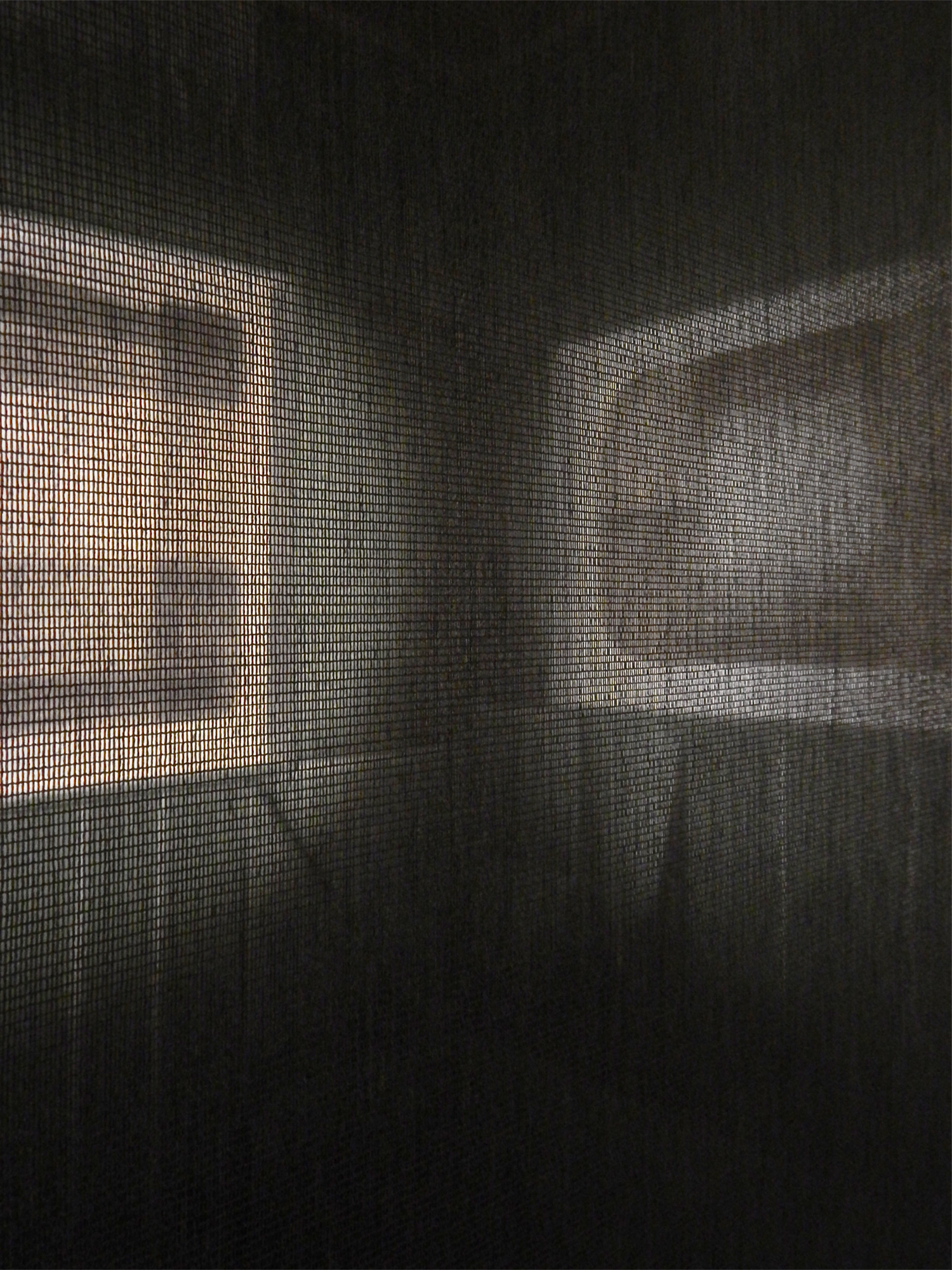 3. looking through the gauze to the drawings