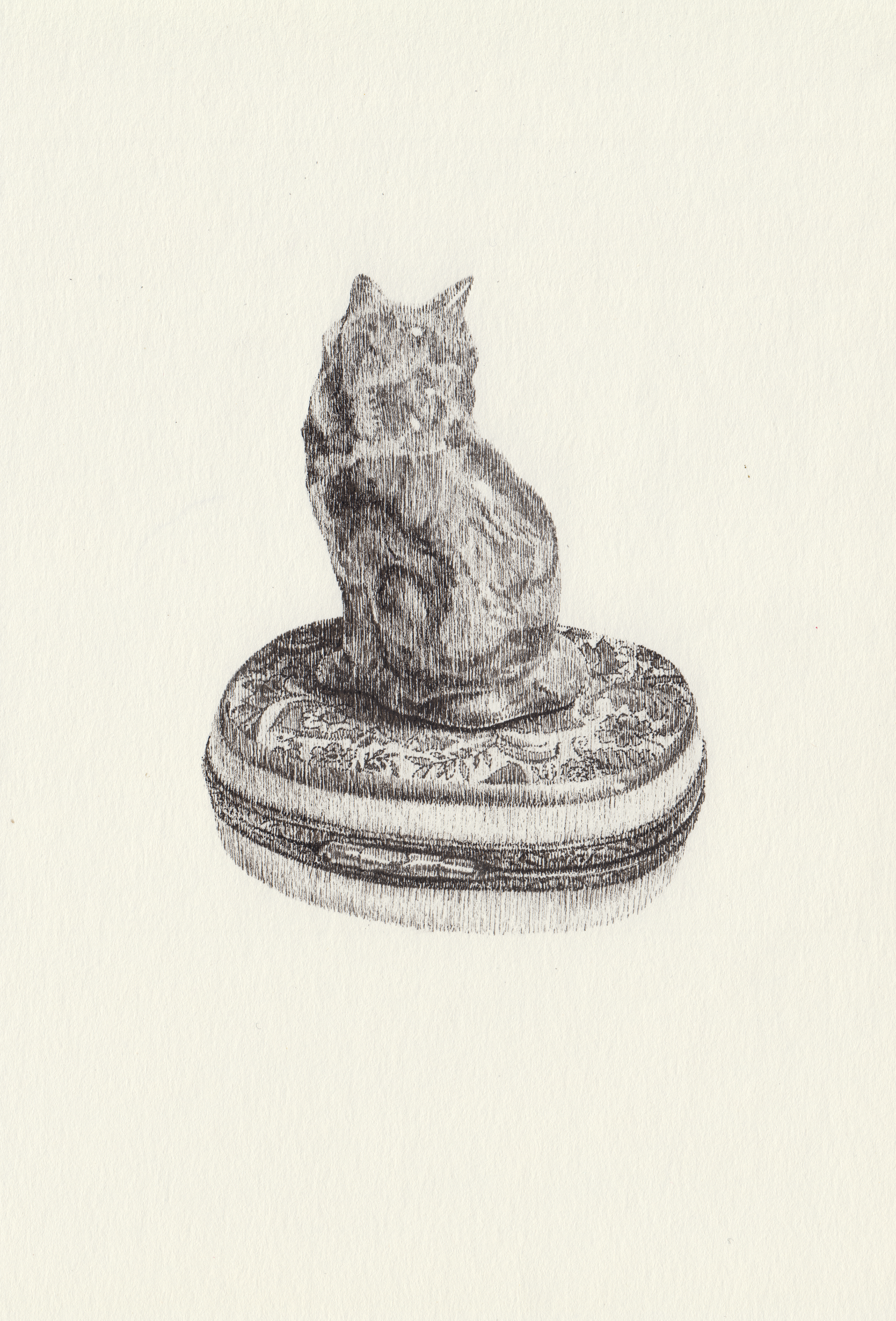 25. Porta pillole con gatto in ceramica dipinta