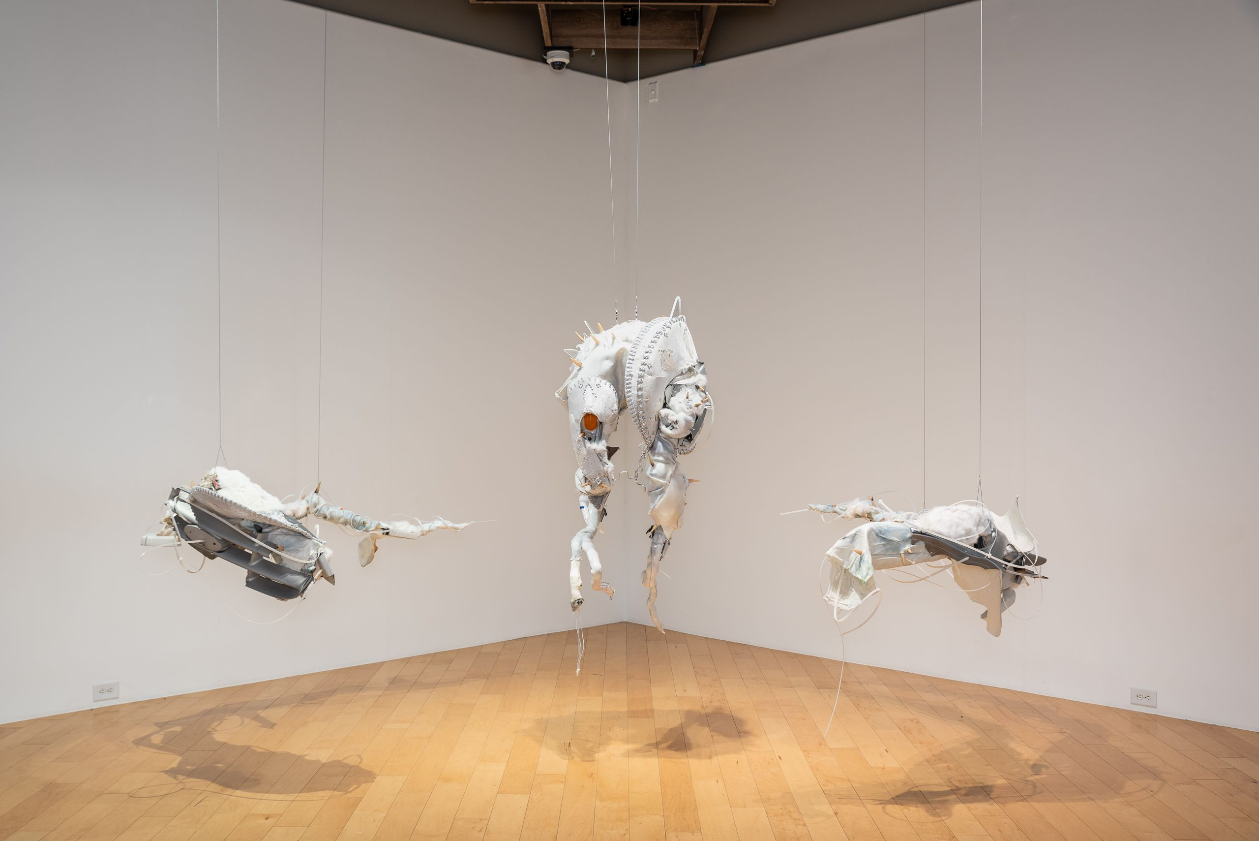 2022 at Palm Springs Art Museum