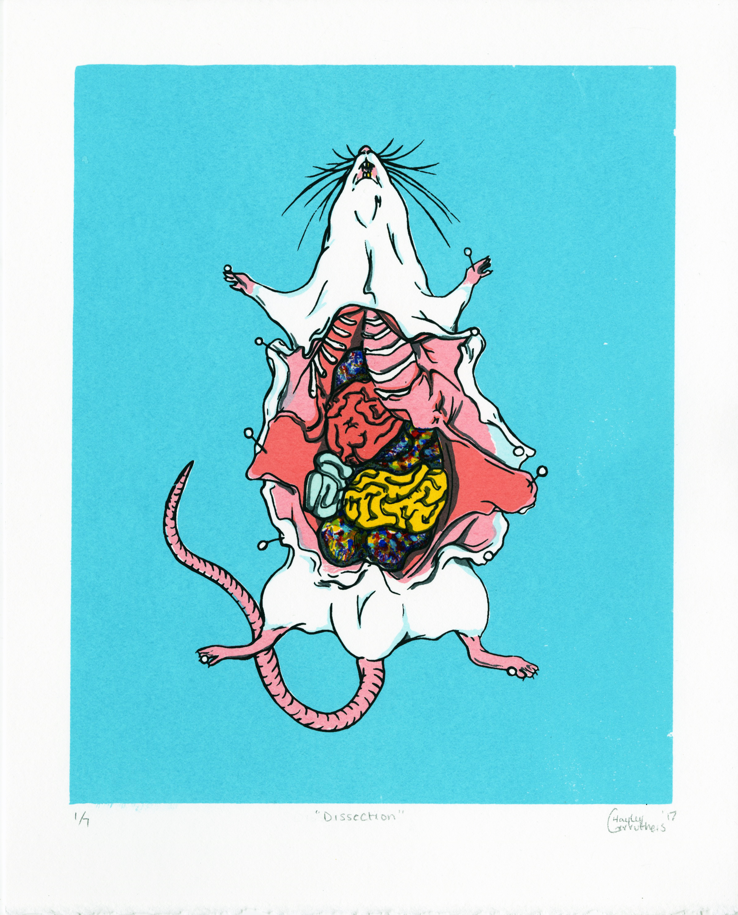 "Dissection", silkscreen print, 8"x10", edition of 7. 2017