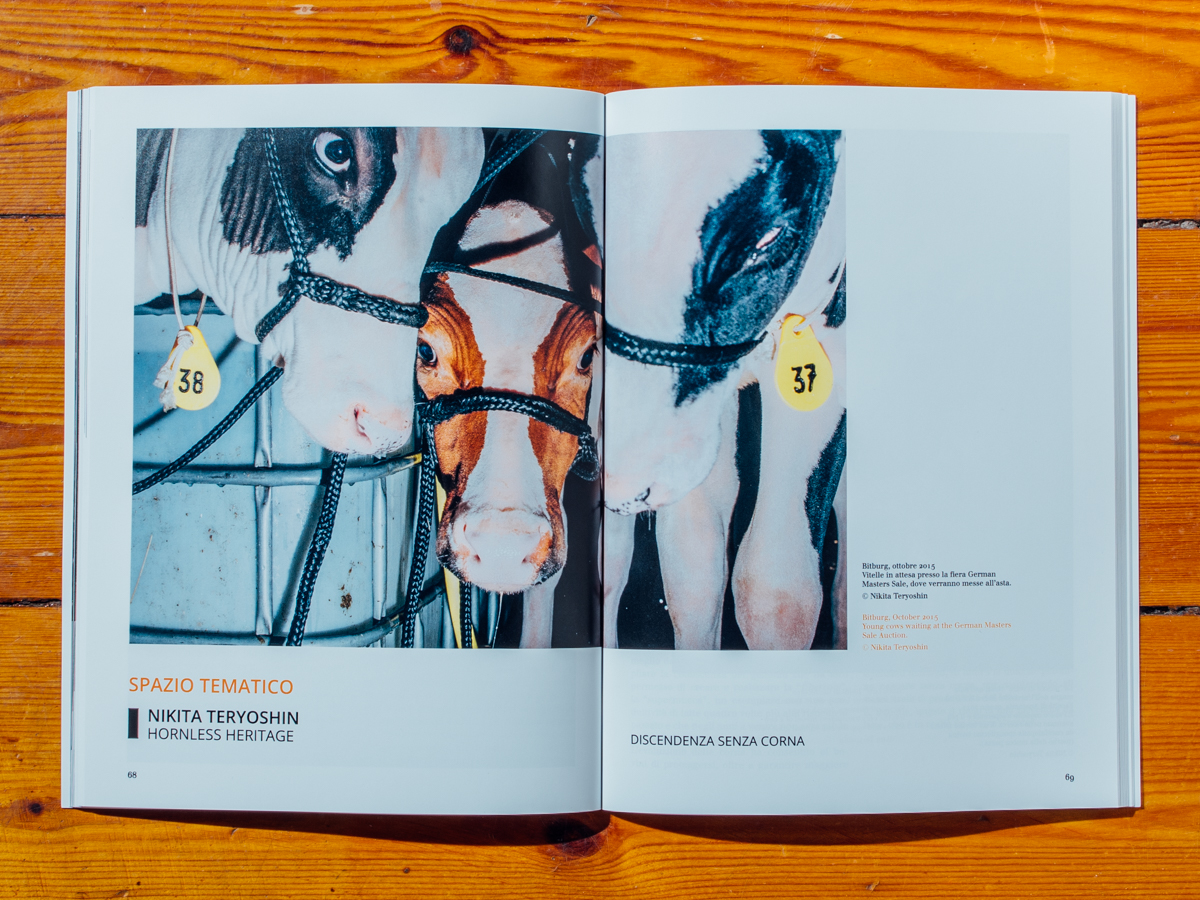 Festival of ethical photography, Lodi  / Hornless Heritage im Ausstellungskatalog / Oktober 2018