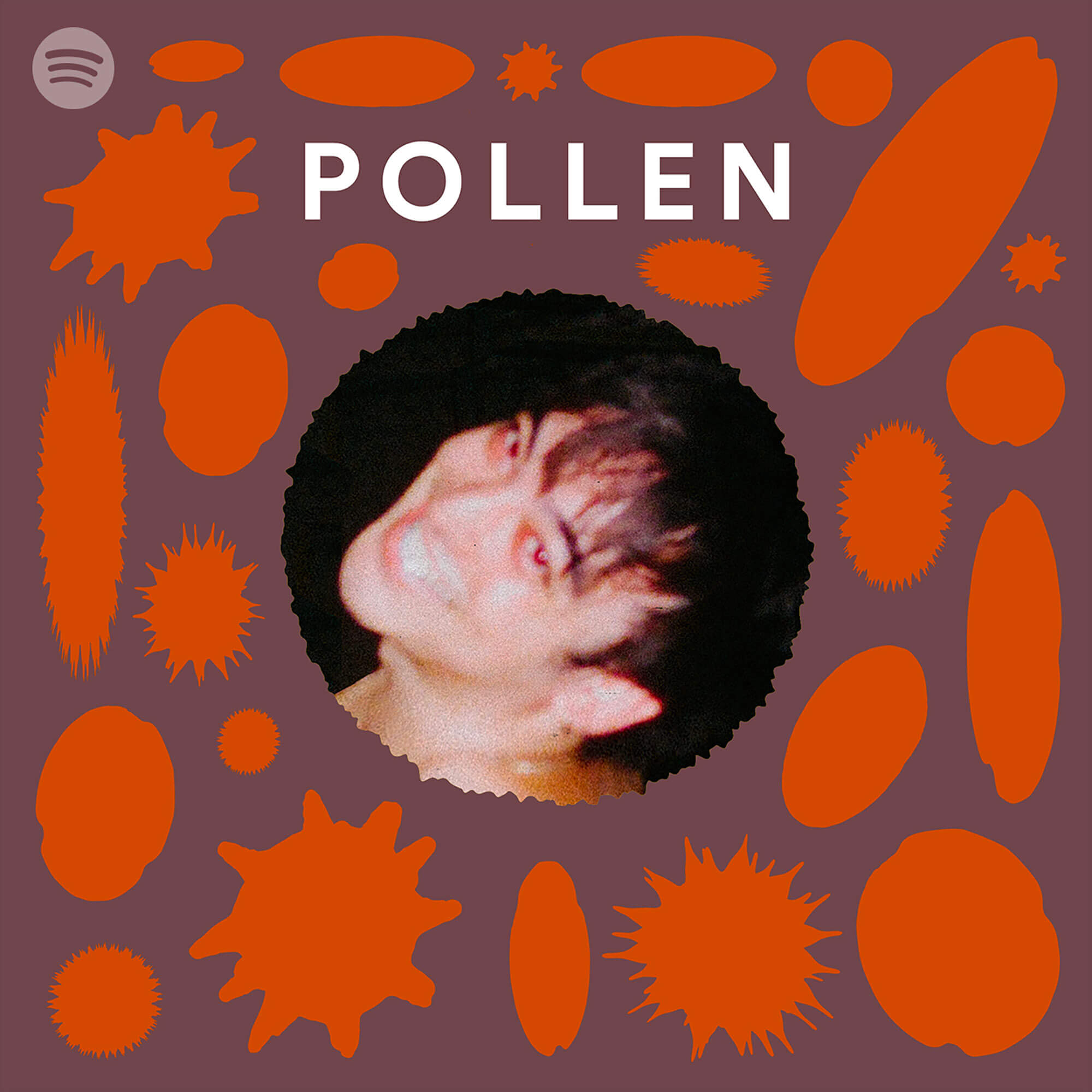 pollen spotify Cecilia Azcarate