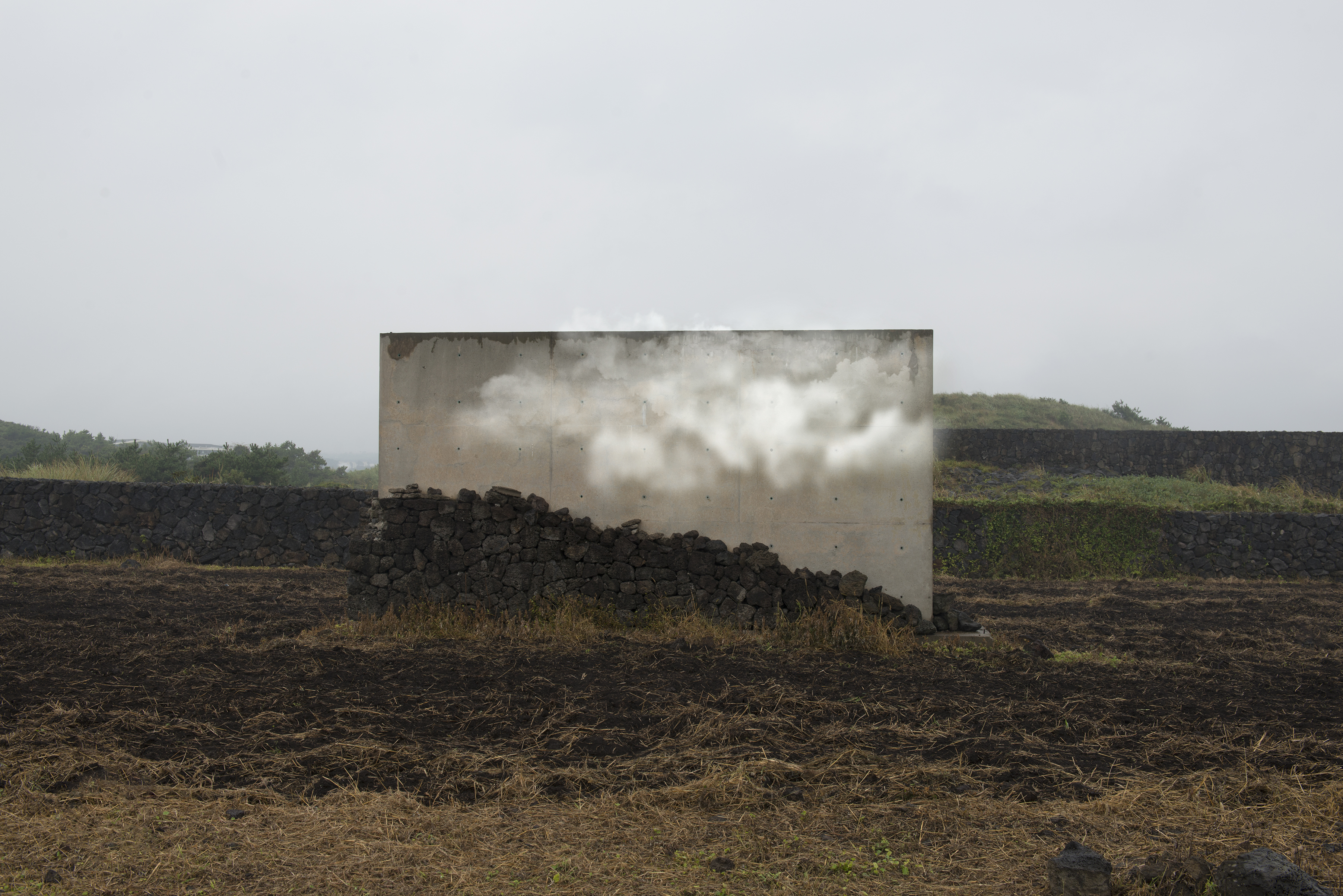 emotional Idea, 2016