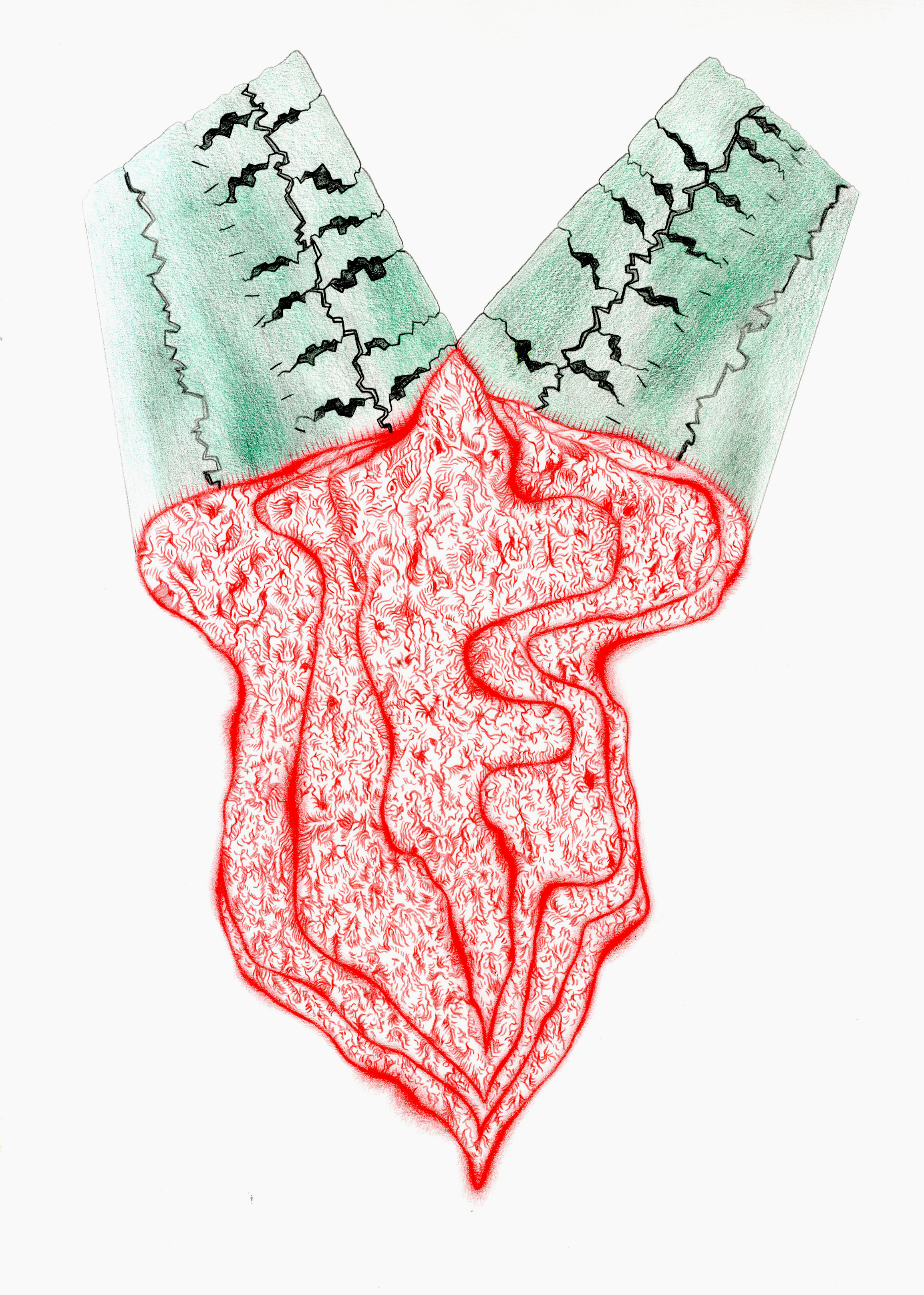 Ground / Crop, coloured pencil on paper, 30 x 42cm, 2021