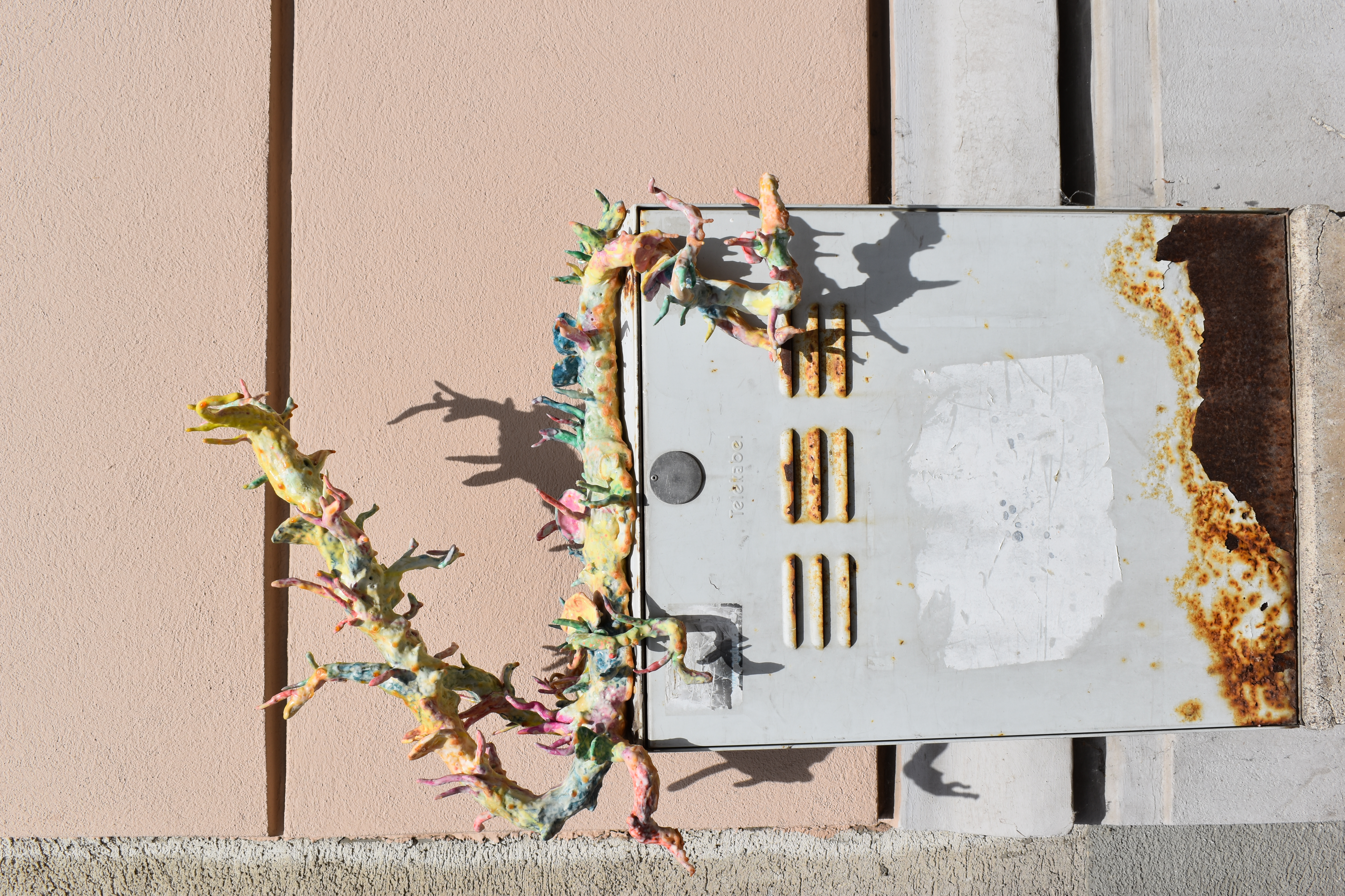 sp. novo, sbsp. 210.52.022 (✖)