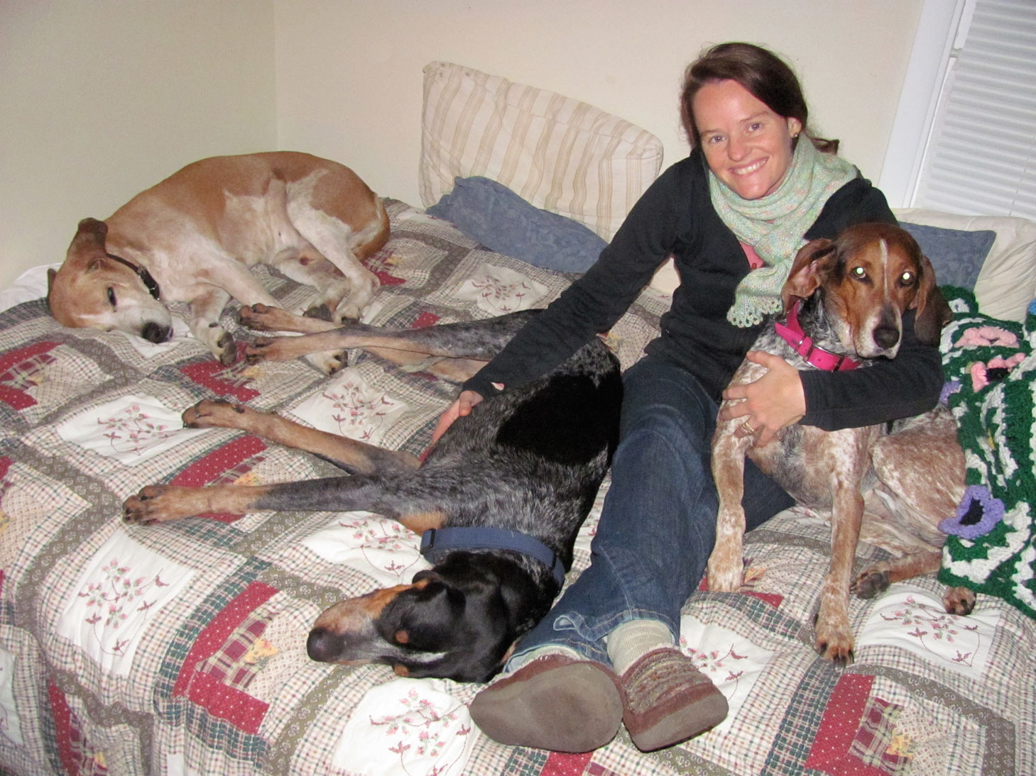 It does pay off to hug a hound