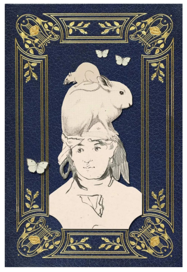 Regina Lafay Bellamy