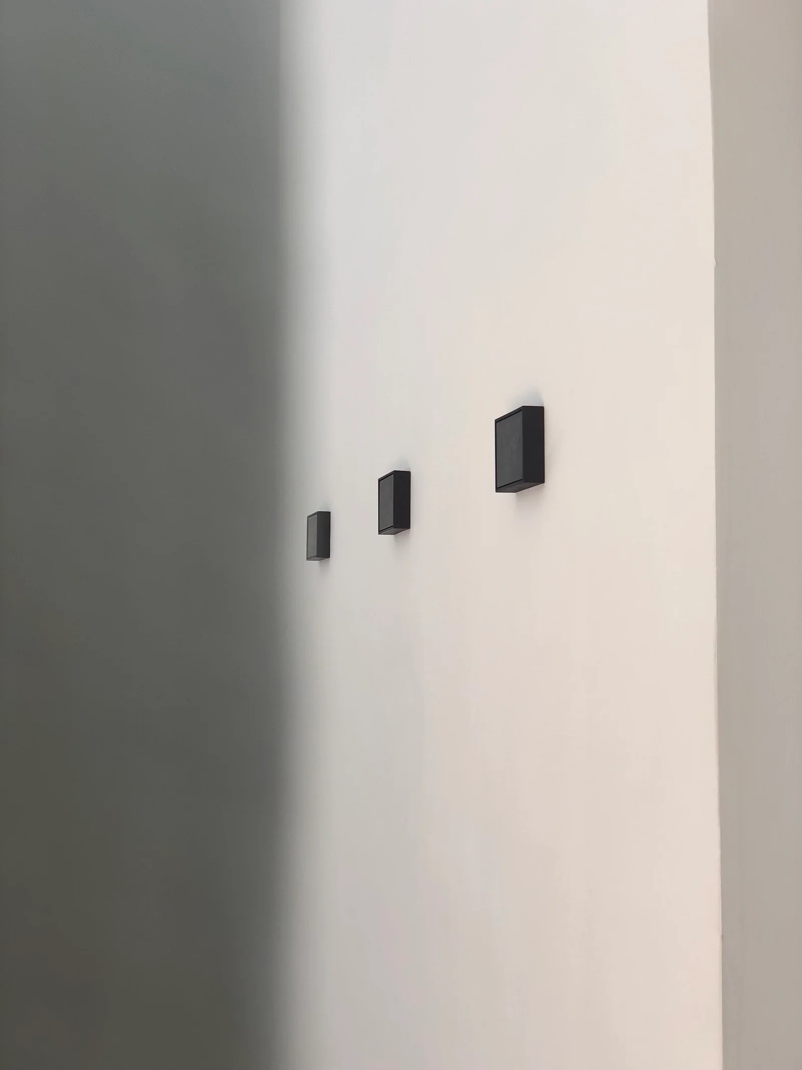  Installation view, wet plate collodion, walnut frame. SERCHIA Gallery, Bristol. From the Series Objects to Place in a Tomb,2022.