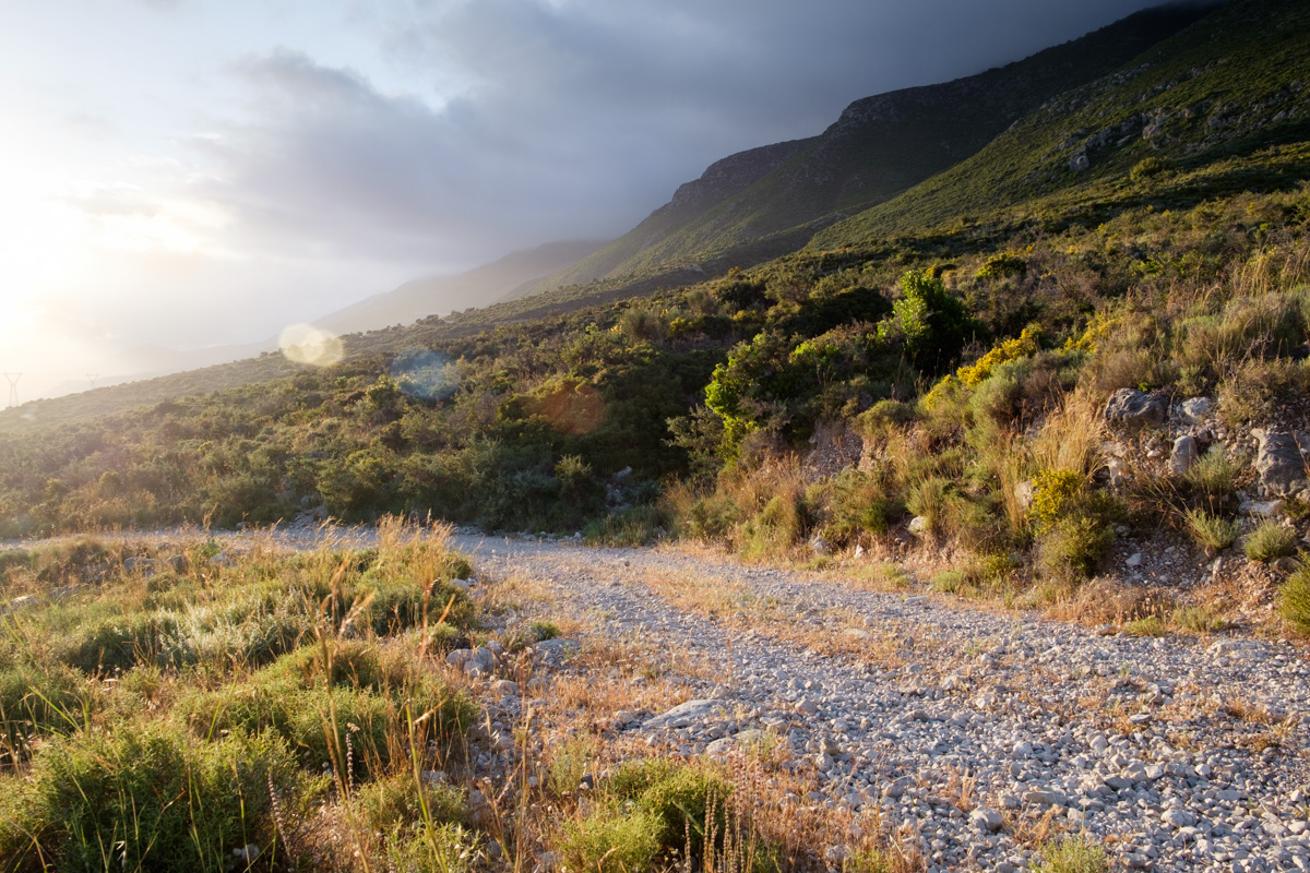 wild kefalonia — Fine art photography prints & visual storytelling ...