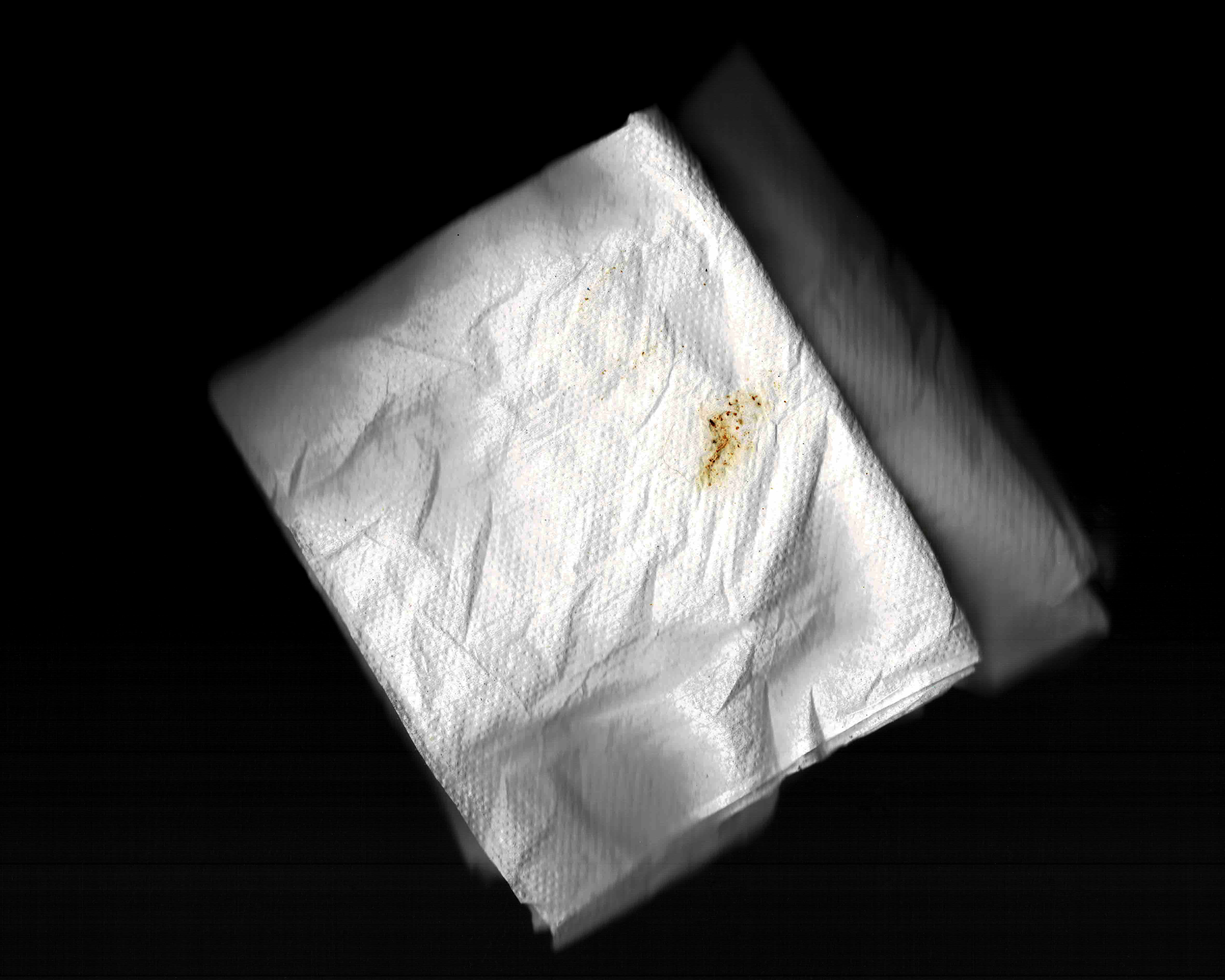 napkin used to wipe my hand after obliterating a bug