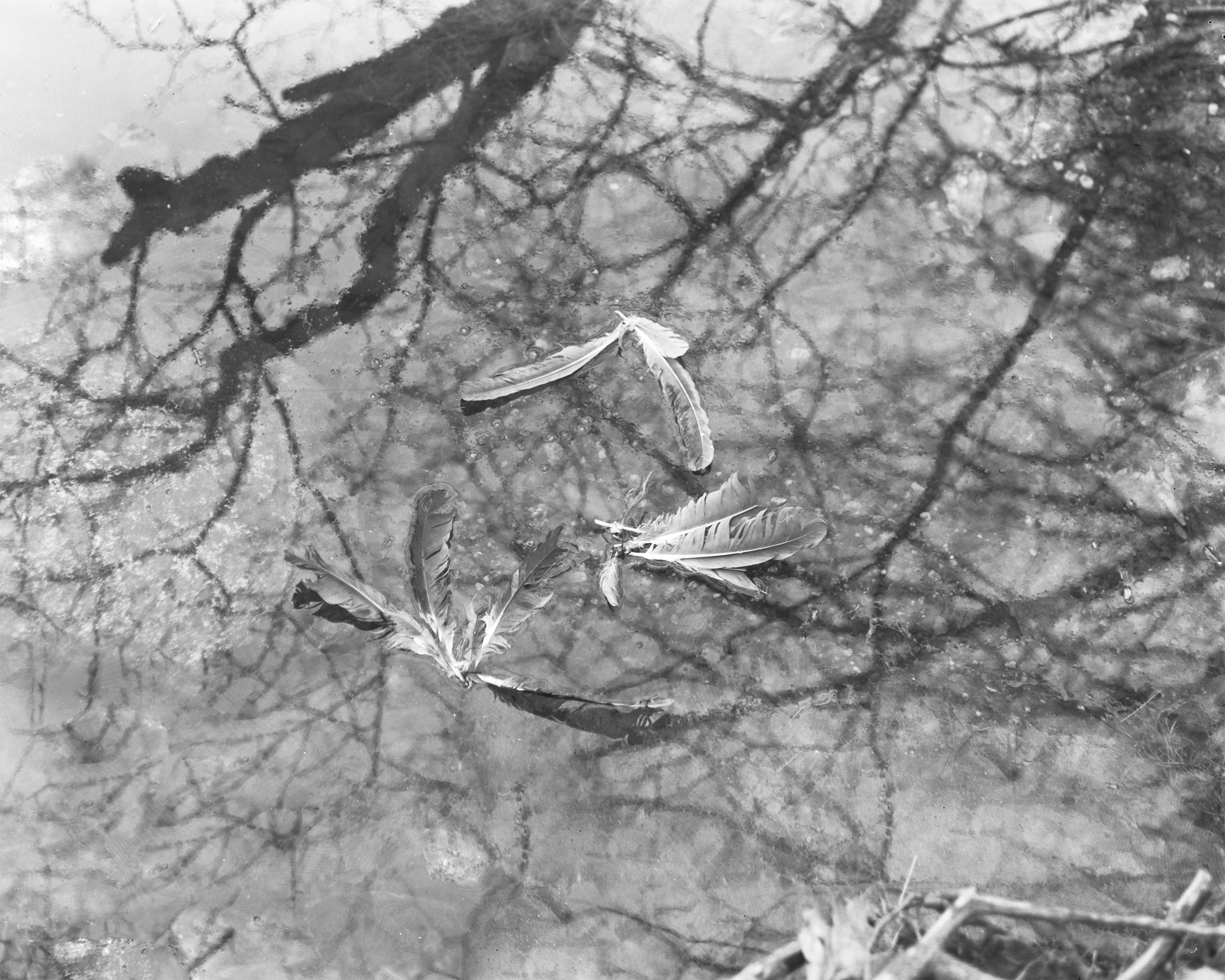 Chief Polin died here in 1756Silver Gelatin Print, 16x20&rdquo;, 2023