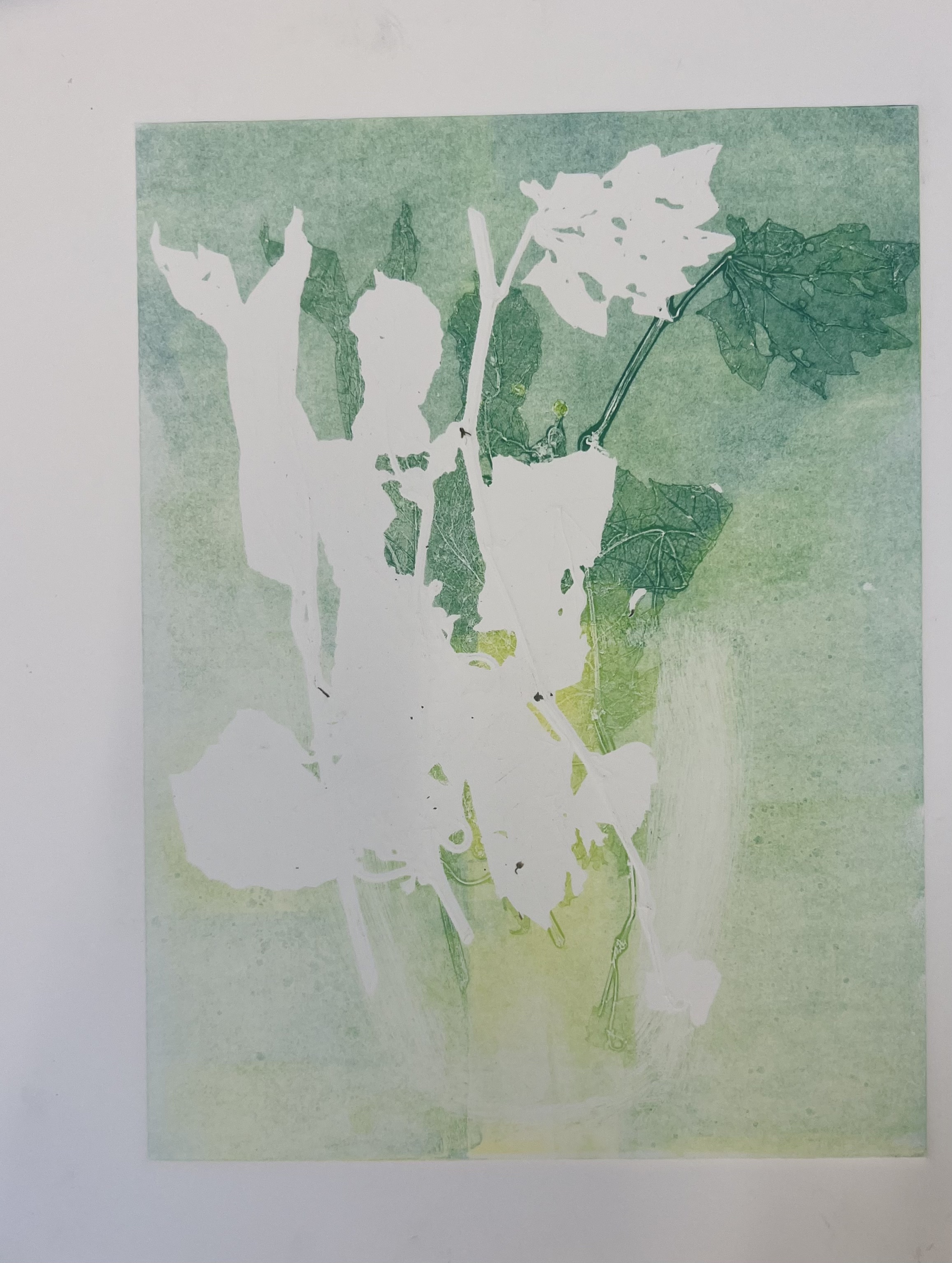 the vase, 2024 mono print 2/2