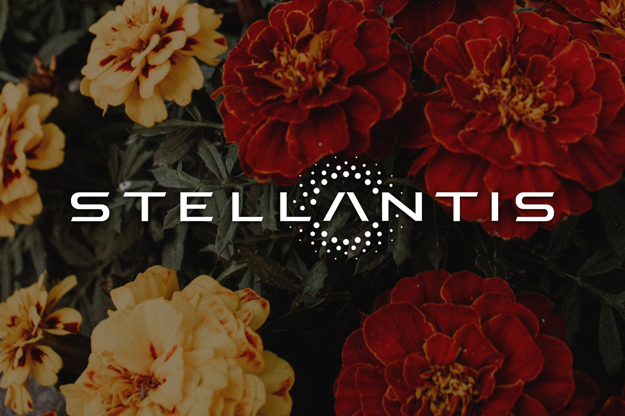 stellantis.