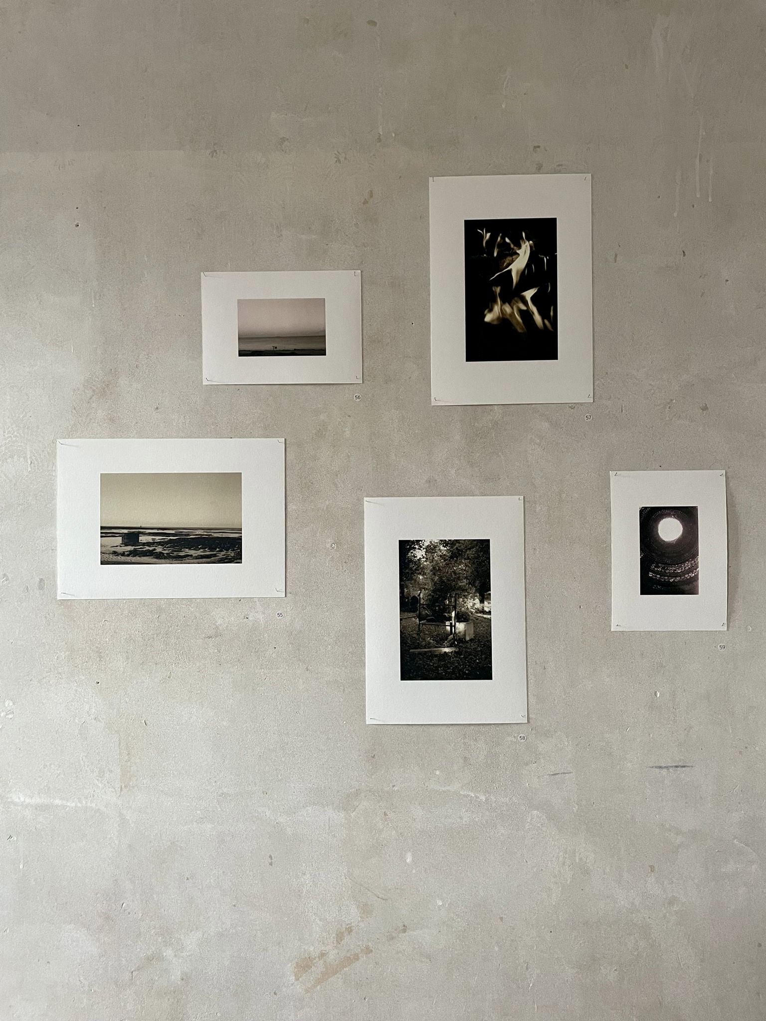 Waiting in the Wings, Collection (2021)