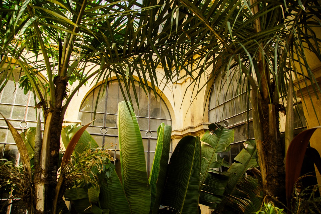 Soho House São Paulo, Content House