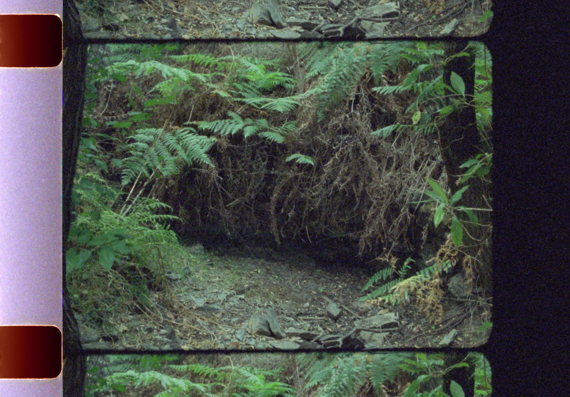  TARDE FRIA (16mm, color, stereo sound 2019)