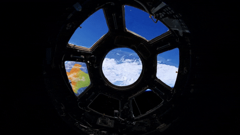 PublicRecordsNYC_Animation 