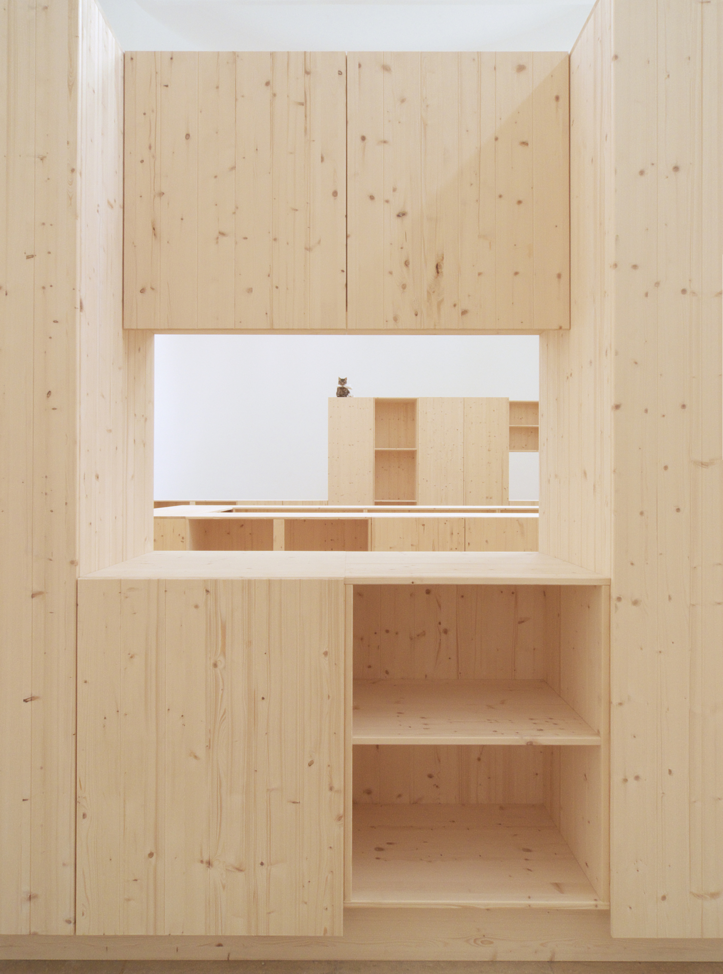 How are you going to behave: A Kitchen cat speaks, 2009 53rd Venice Biennale, German Pavilion