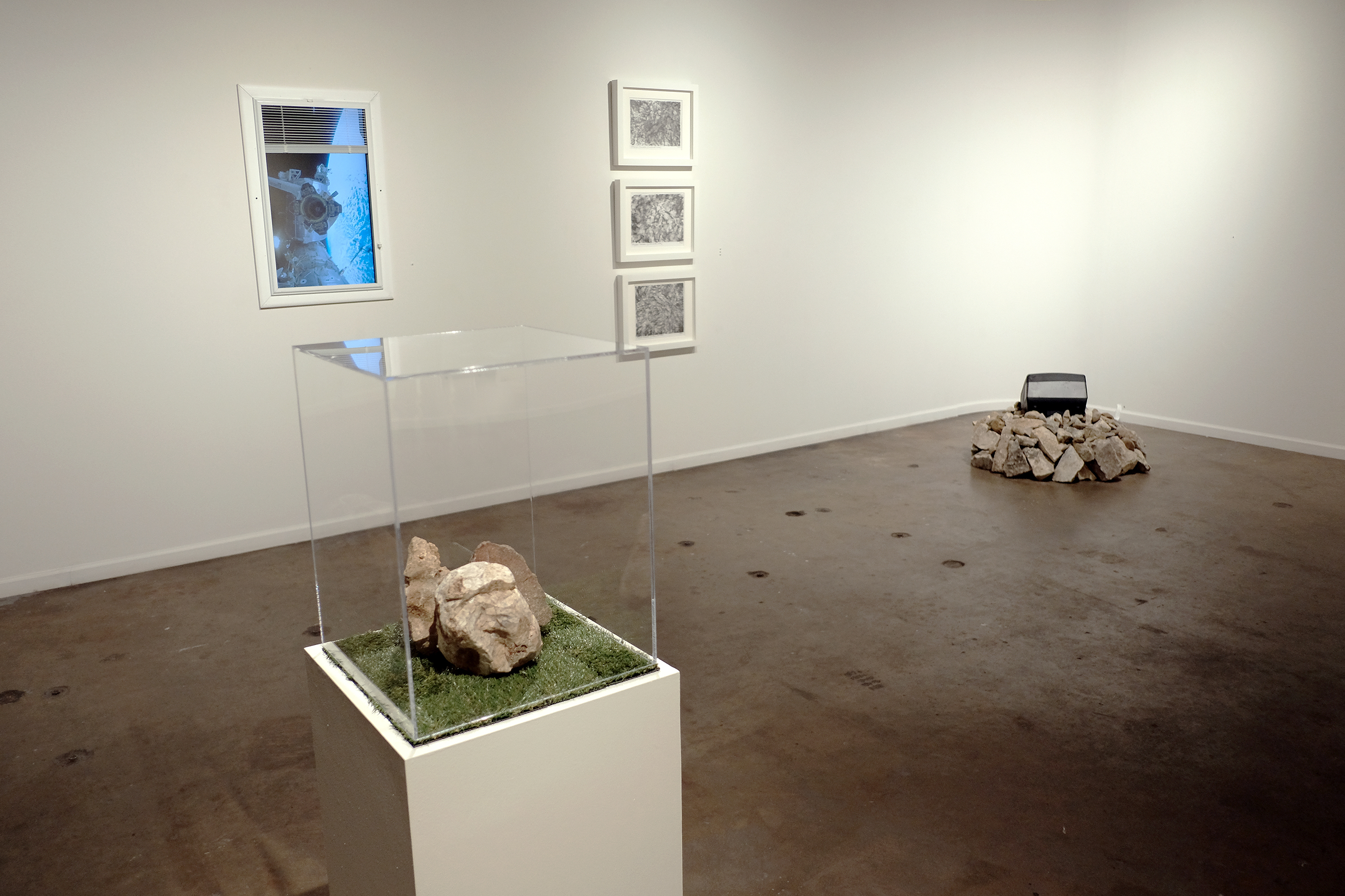 yo soy aquí exhibition installation image. Photo credit: Erica Robert Pallo