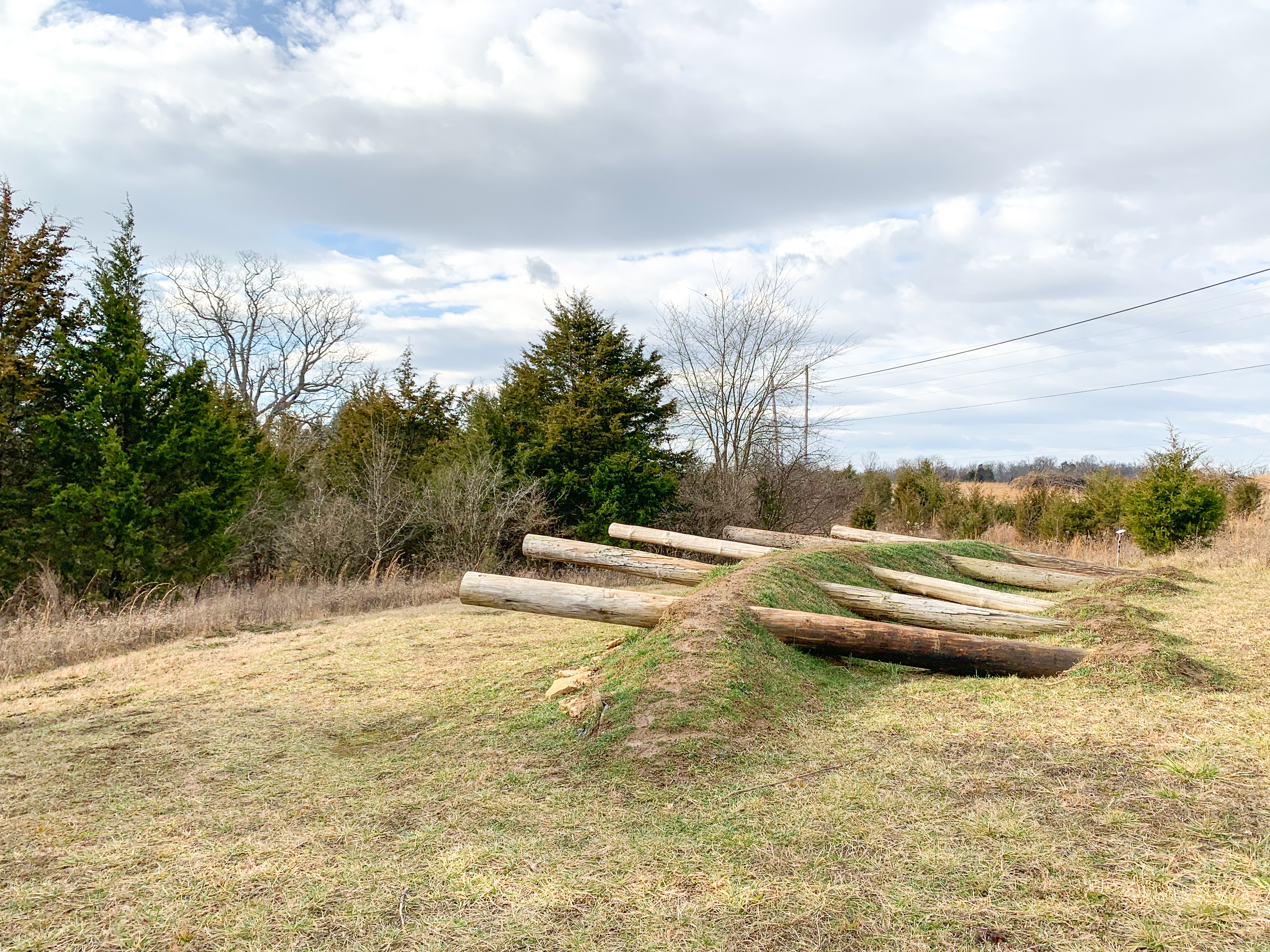The artwork, Walk the Arc, which consists of 5-6 telephone poles that have been buried at one end, and again 2/3 of the way through, which suspend it horizontally to the ground, and elevated around 20 degrees. They are arranged next to one another in a fan shape, closer together in the end in the ground and farther apart in the end in the air.
