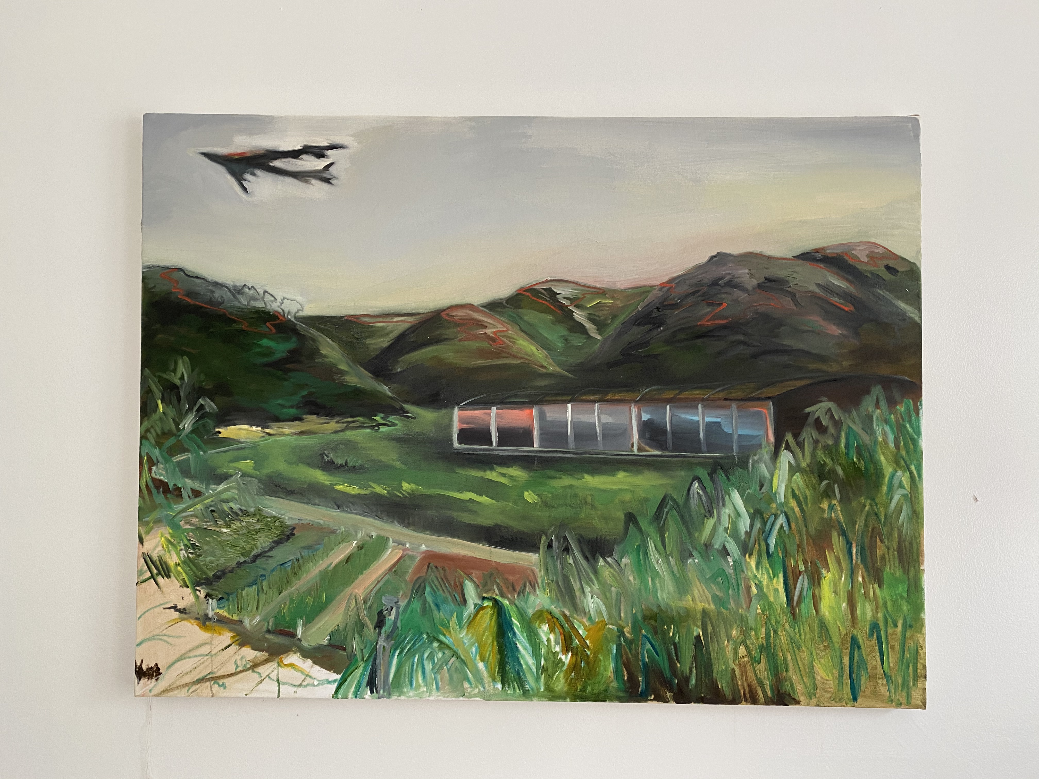Avianca Flight 203 Over a Finca in Soacha, 48" x 36", oil on canvas, 2019.