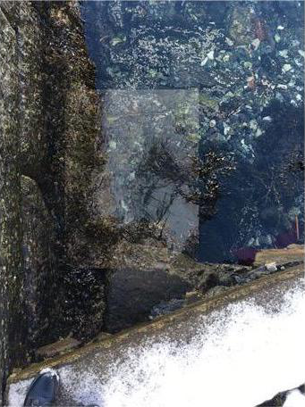 The Bottom: Rocks lay as obstacles for the waves to either crash into or jump over, other ones with soft surfaces wave the algae around, and smaller rocks lay in between everything as a hard carpet. 