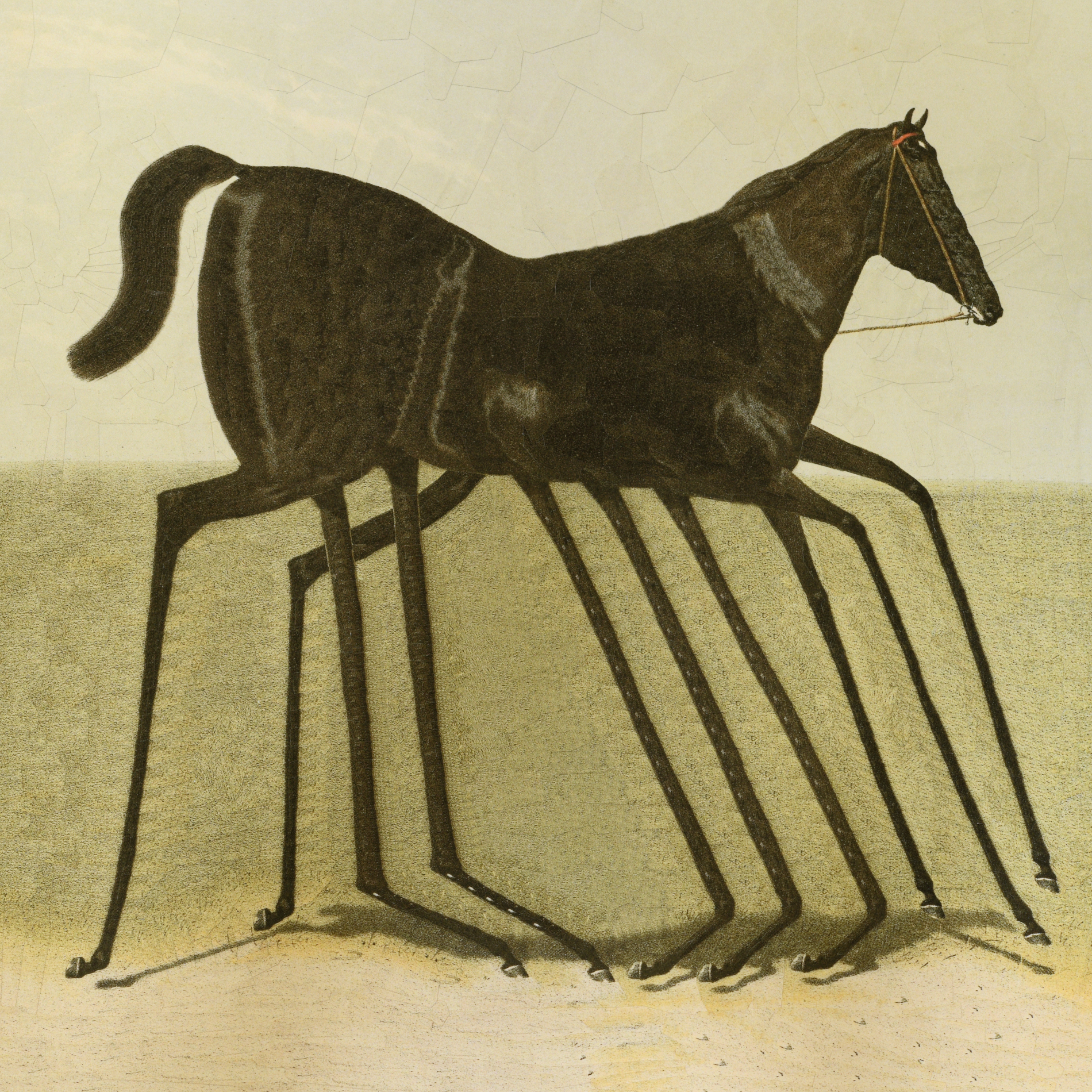 After Volkers I, 2023, 11.8 x 11.8 inches