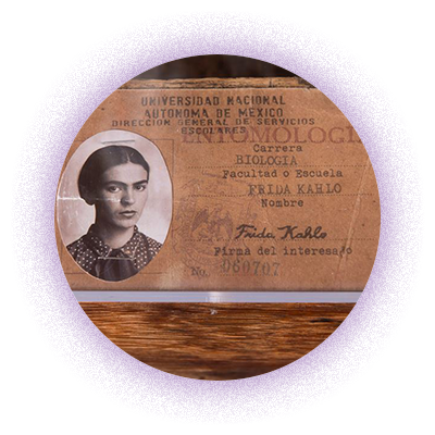 Frida Kahlo Instalation