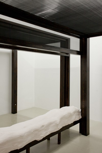 The Contagious Bride, 2012, variable size, wood, stain, screen, sand bags, plaster