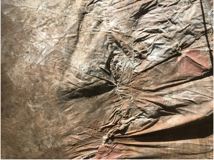 Back to the Breast, 2017