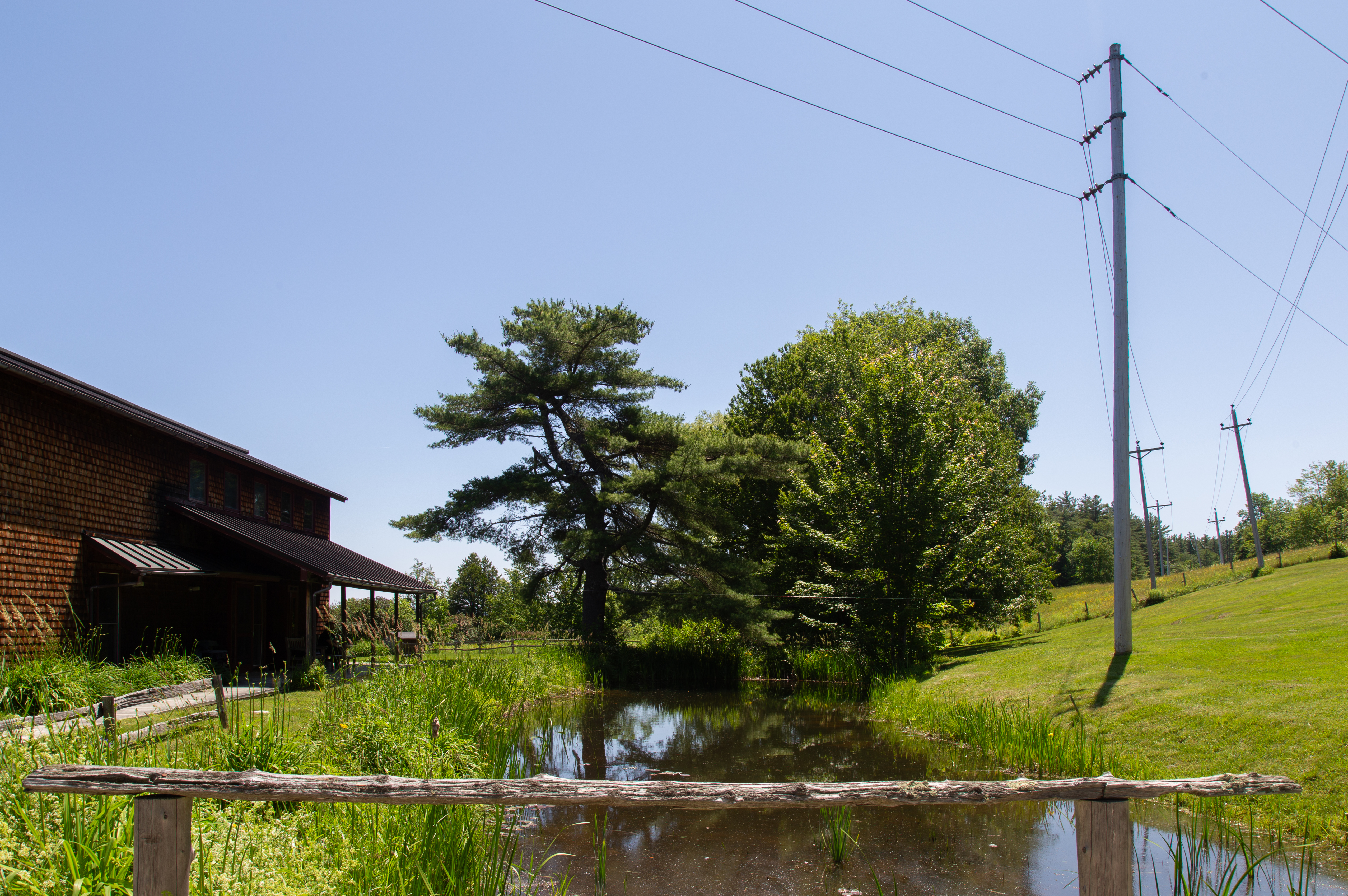 Installation view of steel wire connect to the overhang of the Robert Lehman Library, crossing the pond to the electrical post