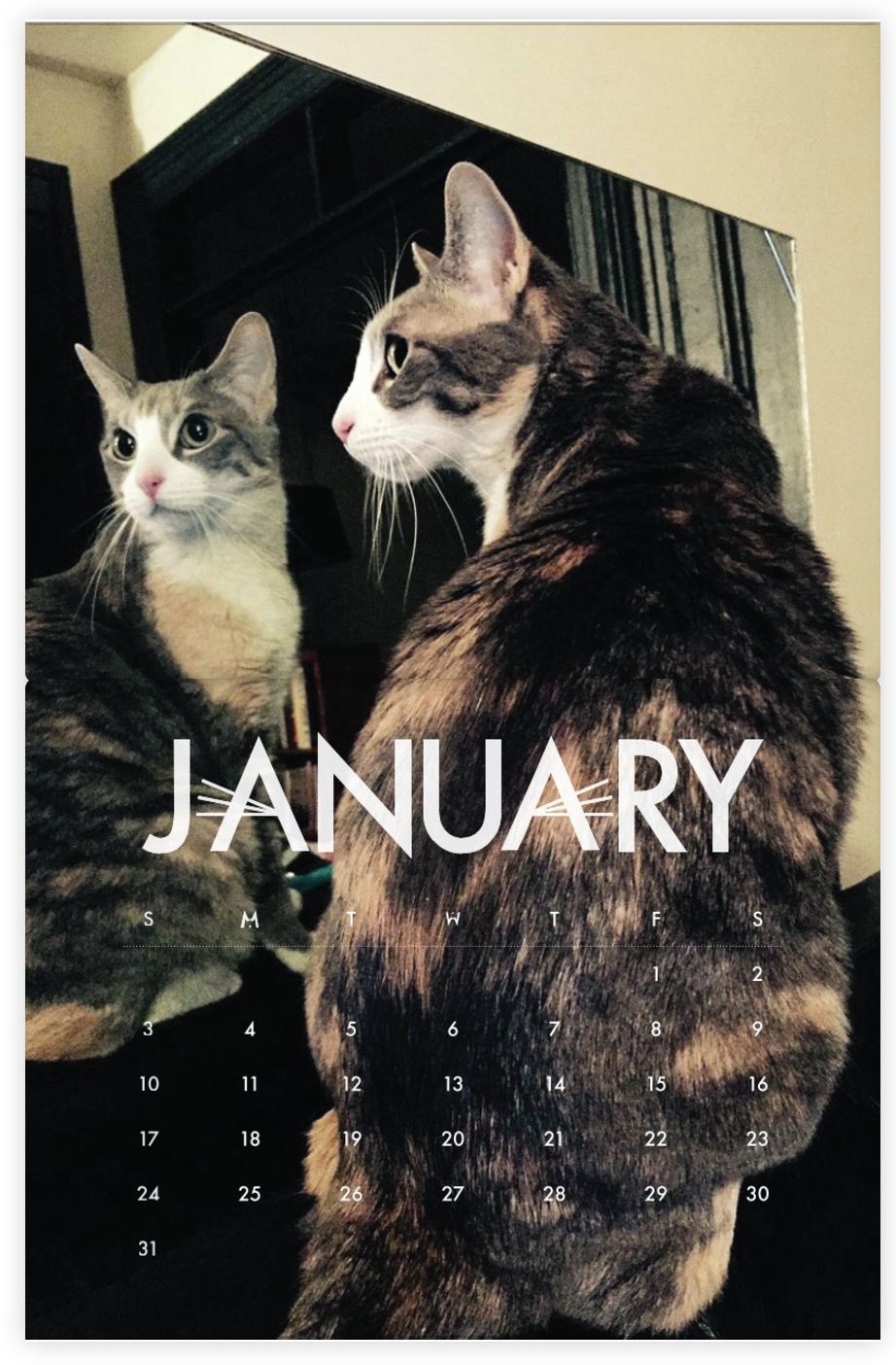 jan-2016_grandma.png