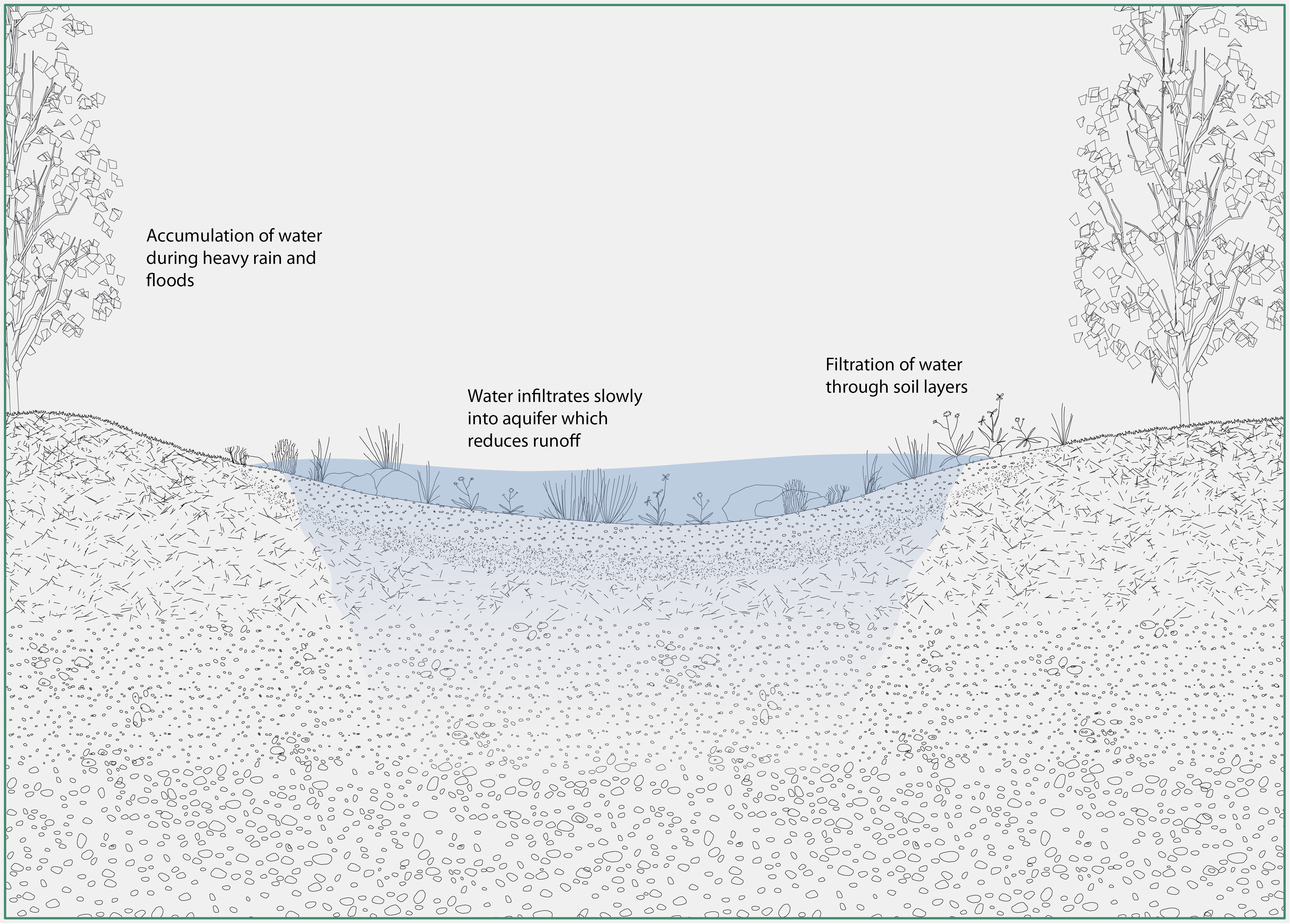 Rain gardens
